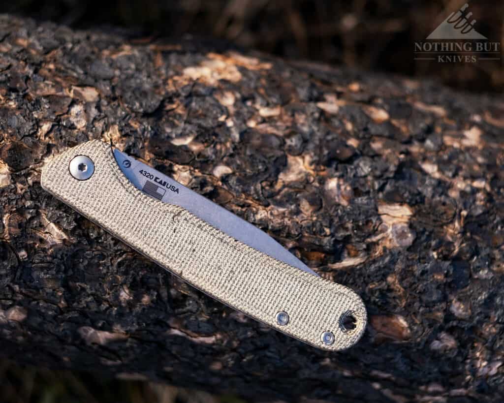 The Federalist pocketknife in the closed position on a tree branch. 