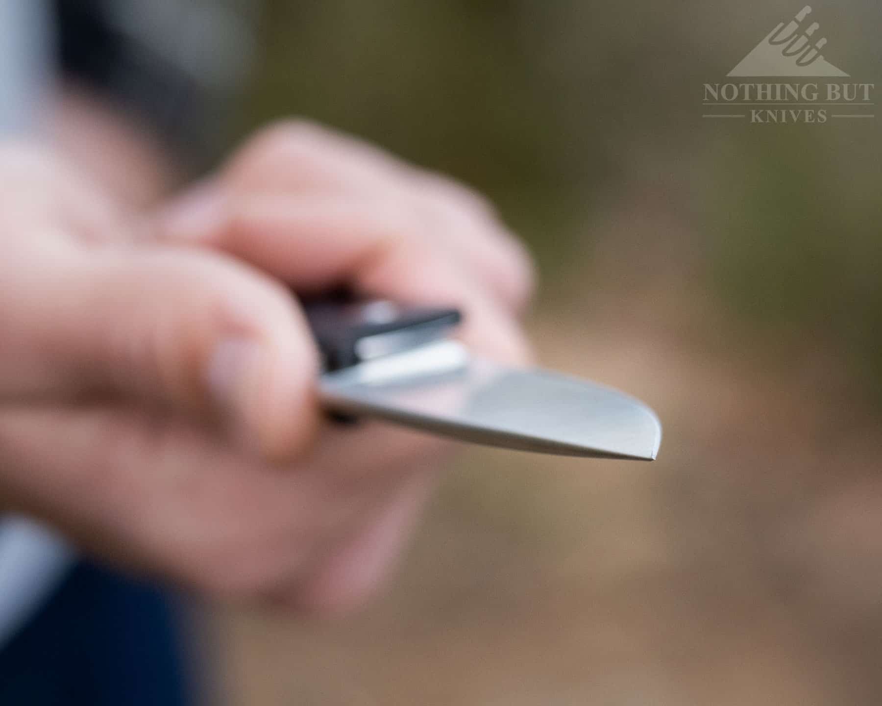 This shallow depth of field image shows the blade tip of the Kizer Vanguard Slicer Lockback pocket knife. 