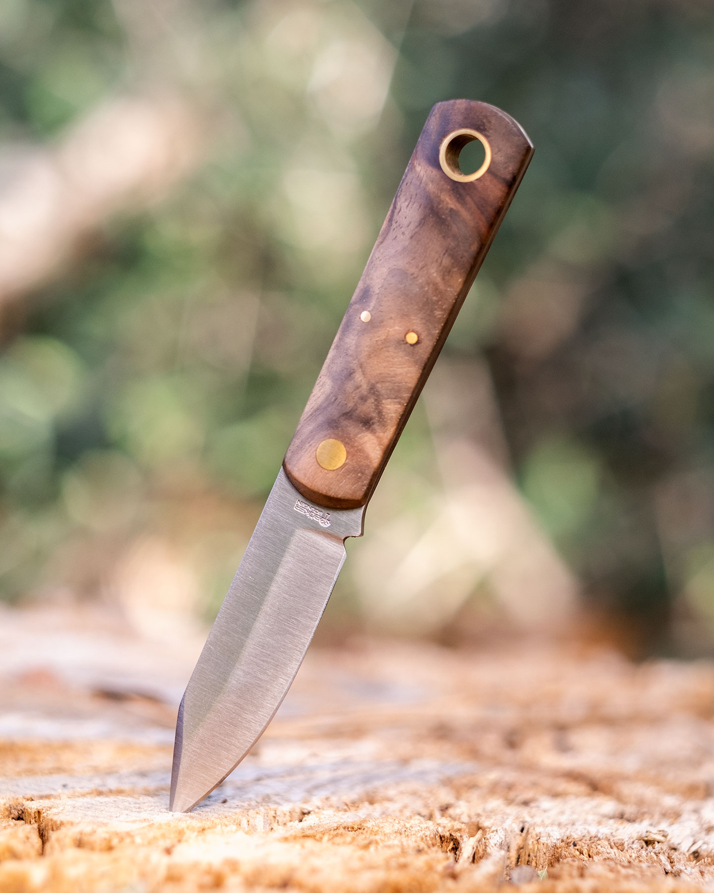 The Fixed Blade Boker Barlow Burnley BFF is a fixed blade pocket knife that sports a versatile design.