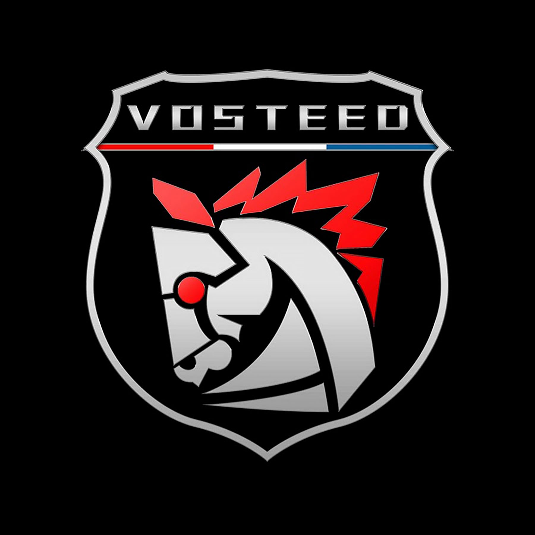 Vosteed logo for the section of the article about the company. 