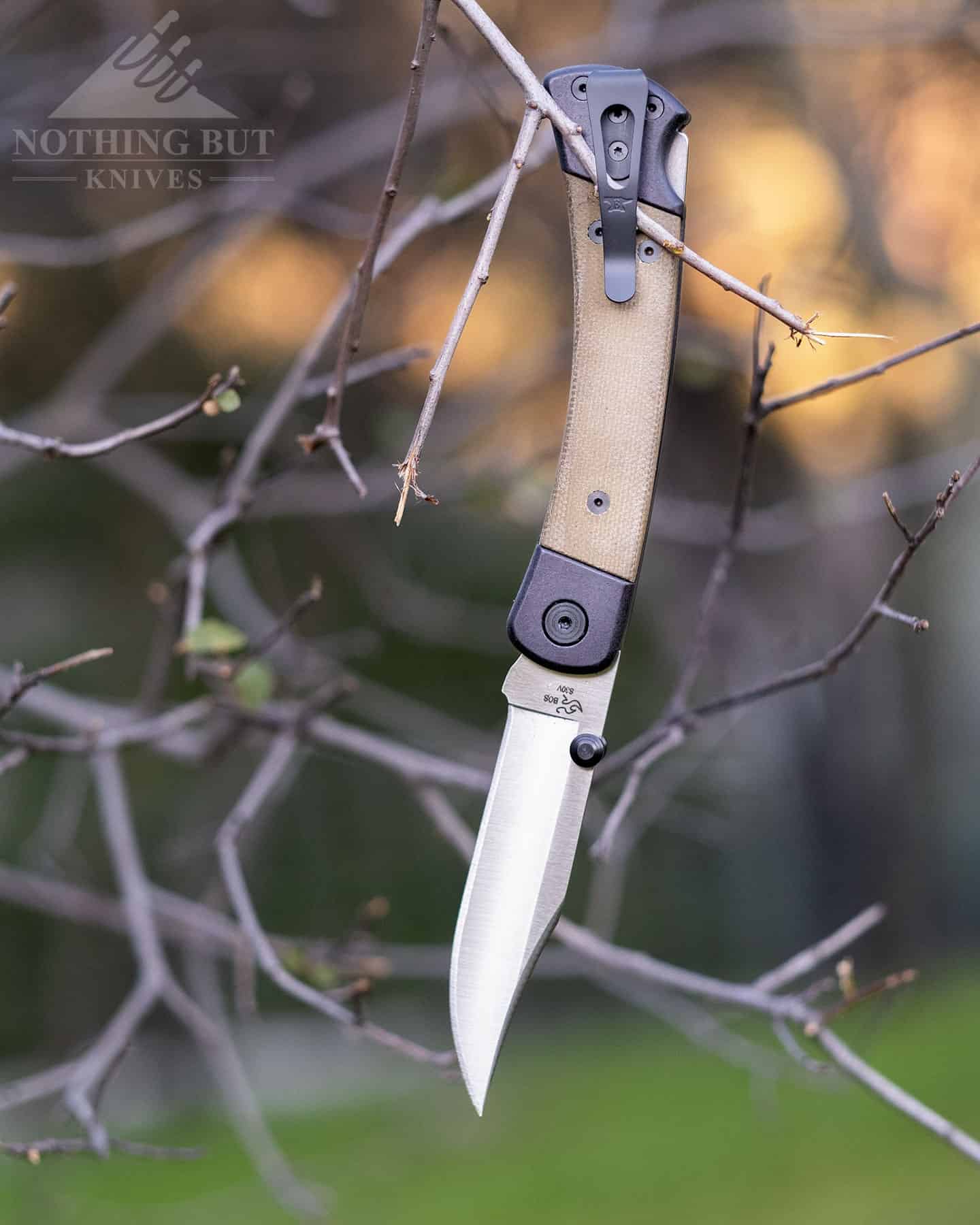 The Buck 110 Hunter Sport hanging from a tree branch on the pocket clip. 