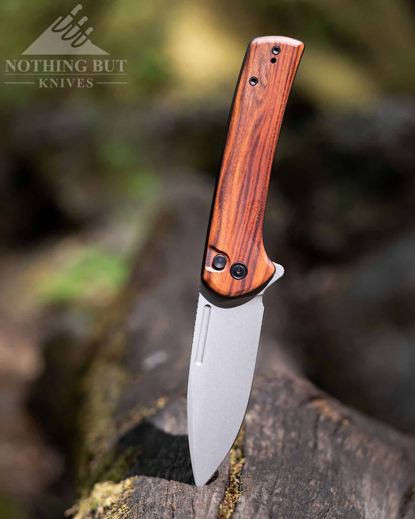 CIVIVI Altus EDC Knife - Wood Handle Nitro-V Blade