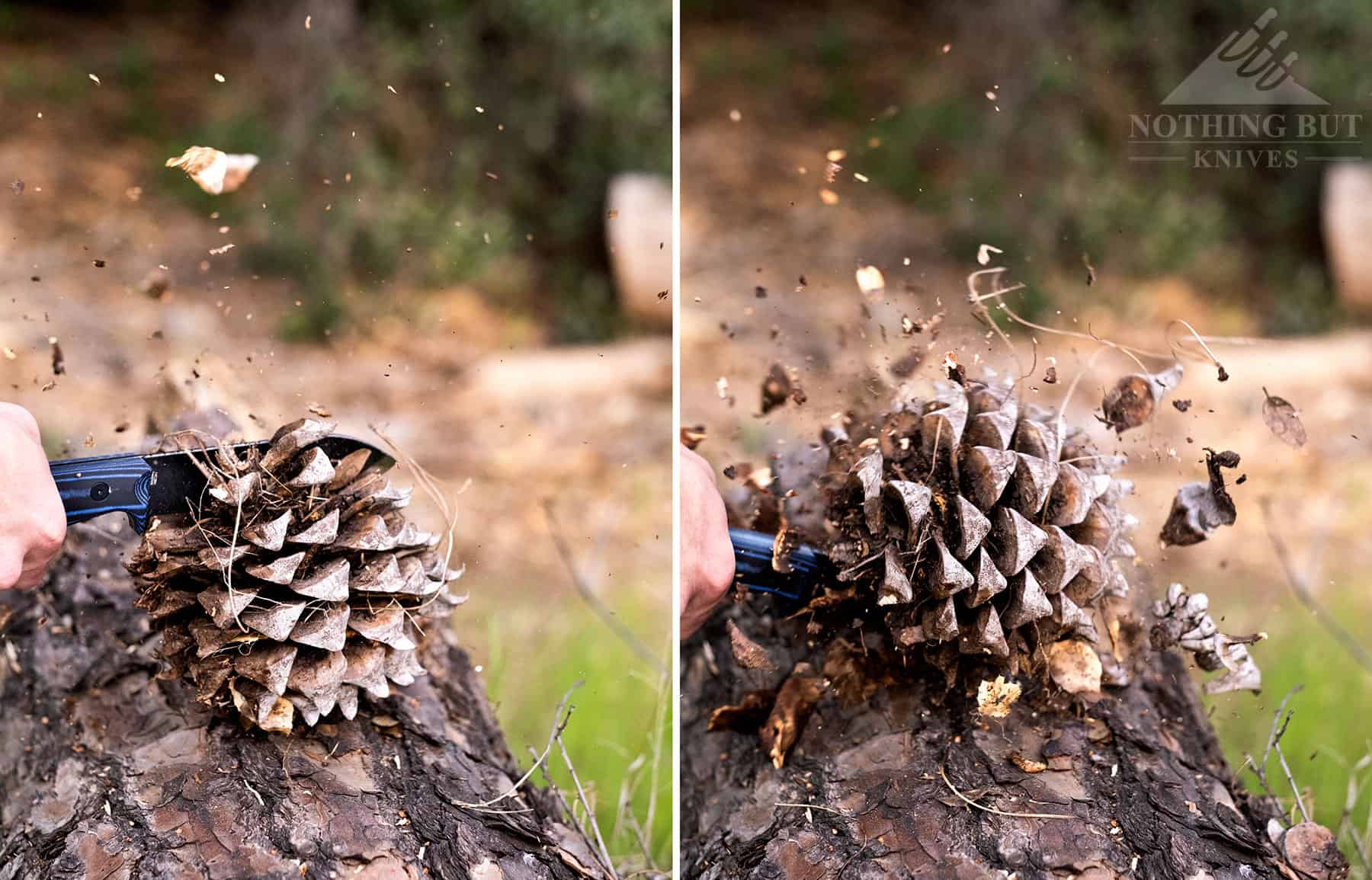 Off Grid Ridgeback Review - Image 16 Chopping up a pine cone to show the effectiveness of the Ridgebacks long handle and scandi blade.