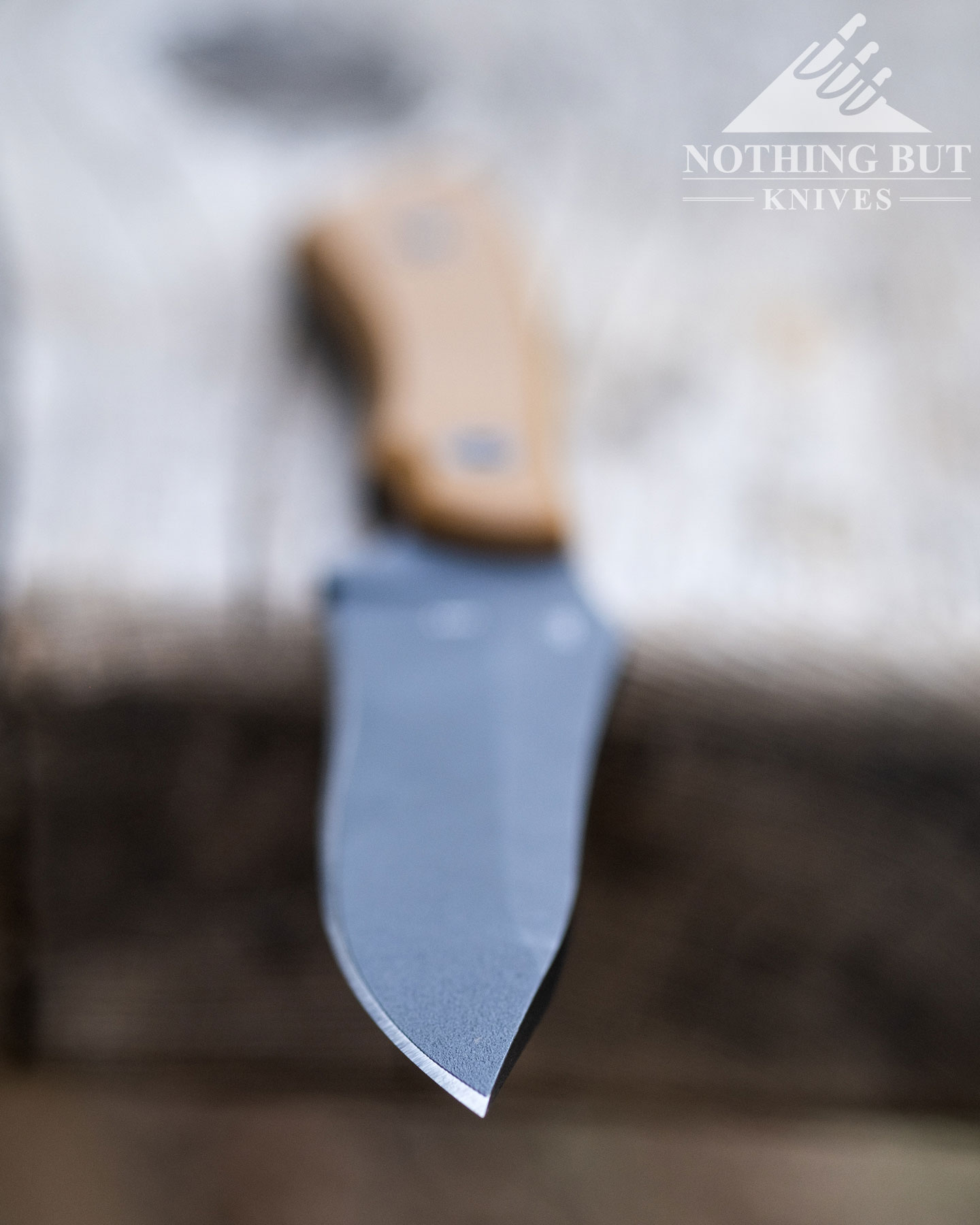 Crkt Ramadi Review - Image 2 A close up of the CRKT Ramadi blade tip to show the fairly dull factory edge.