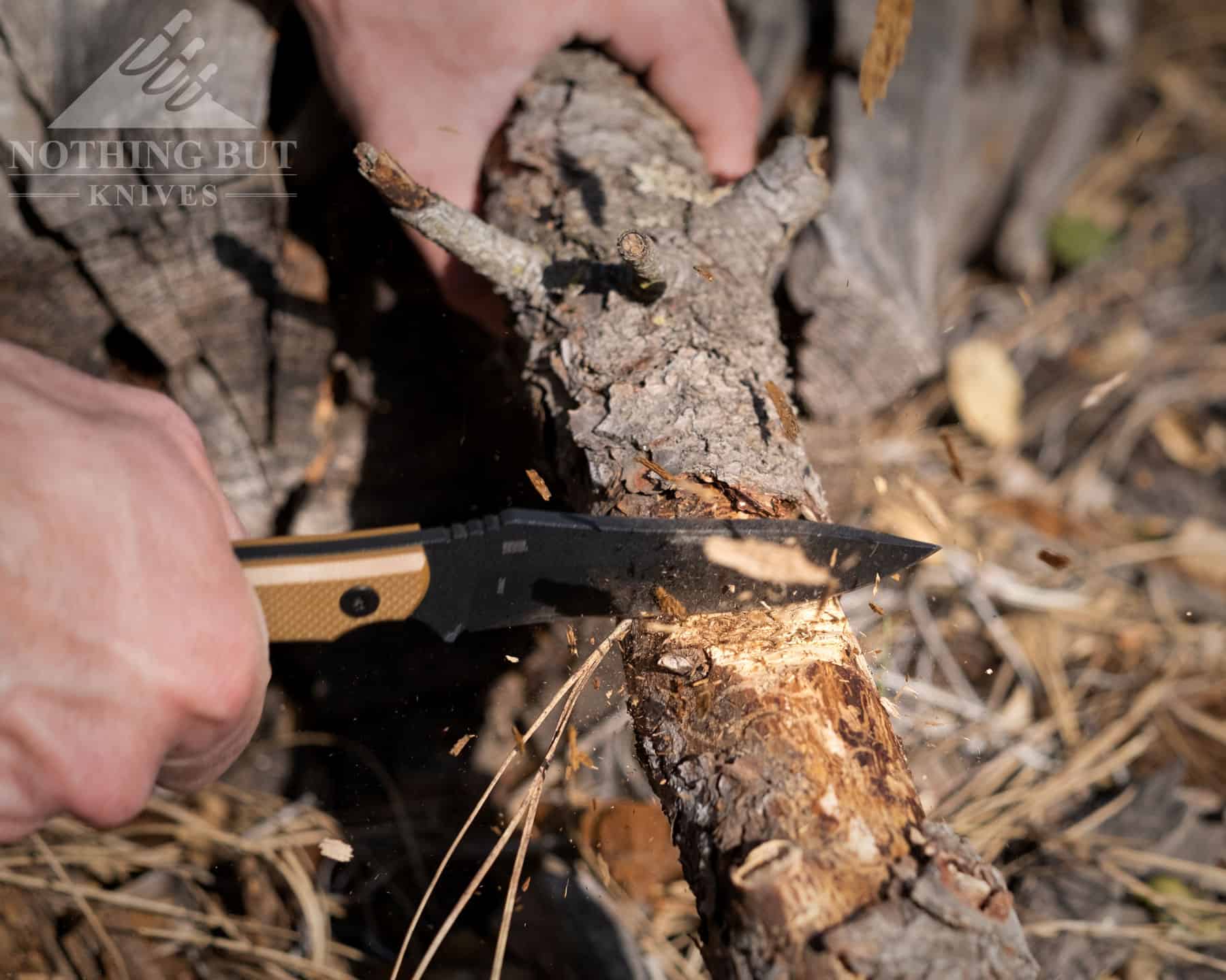 The CRKT Ramadi chops well for a small fixed blade. It is shown here chopping through a pine branch. 