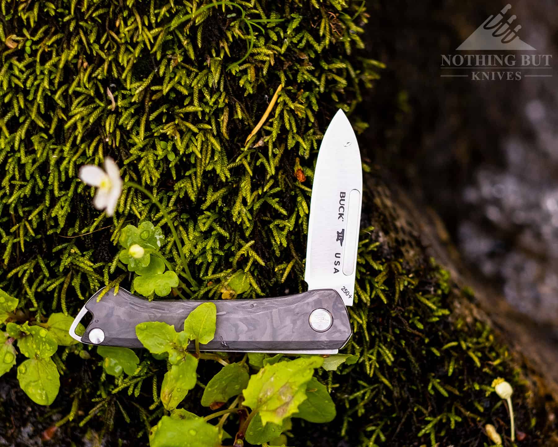 Header image for our Buck Saunter photo tour and review.