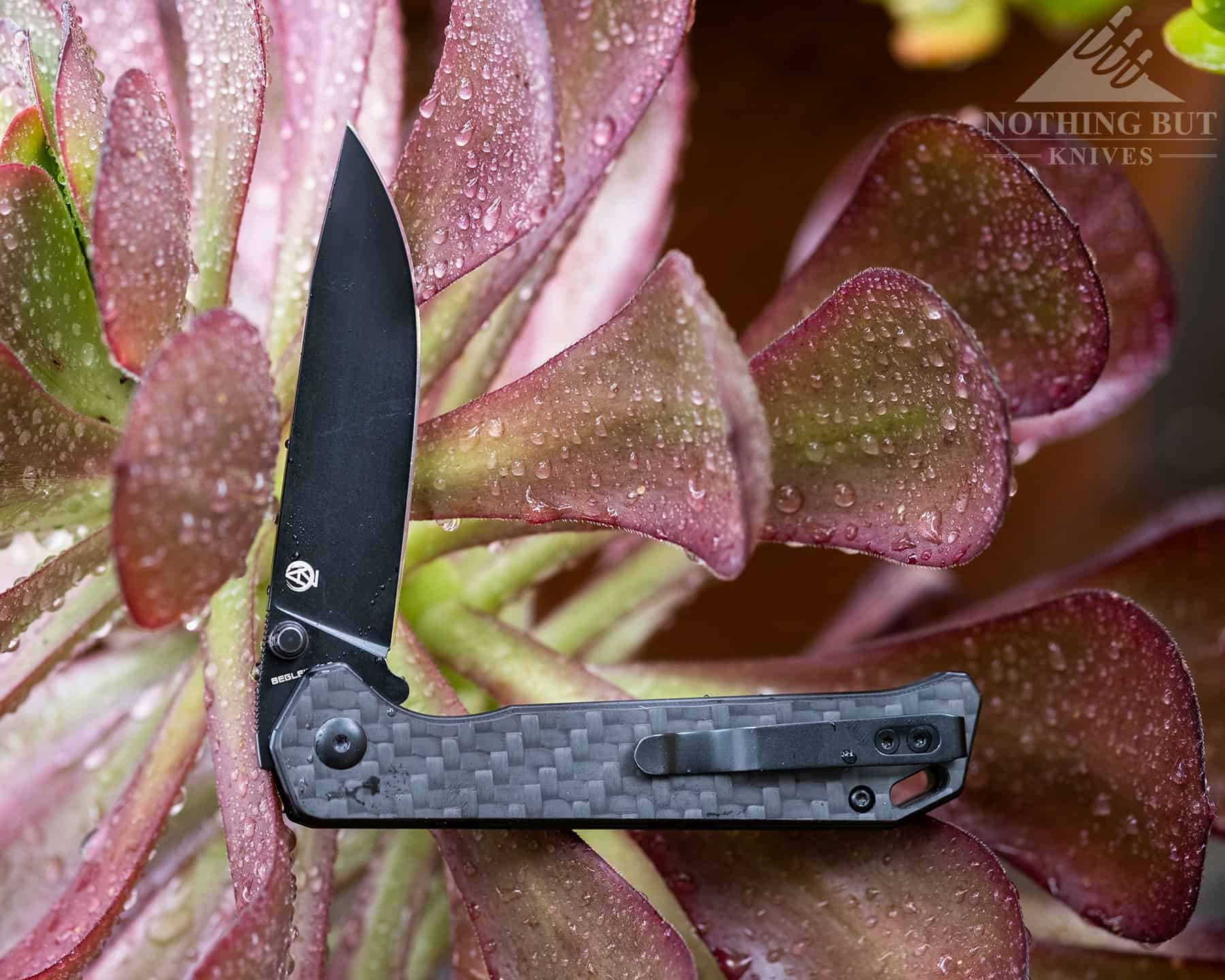 The carbon fiber handle version of the Kizer Begleiter.