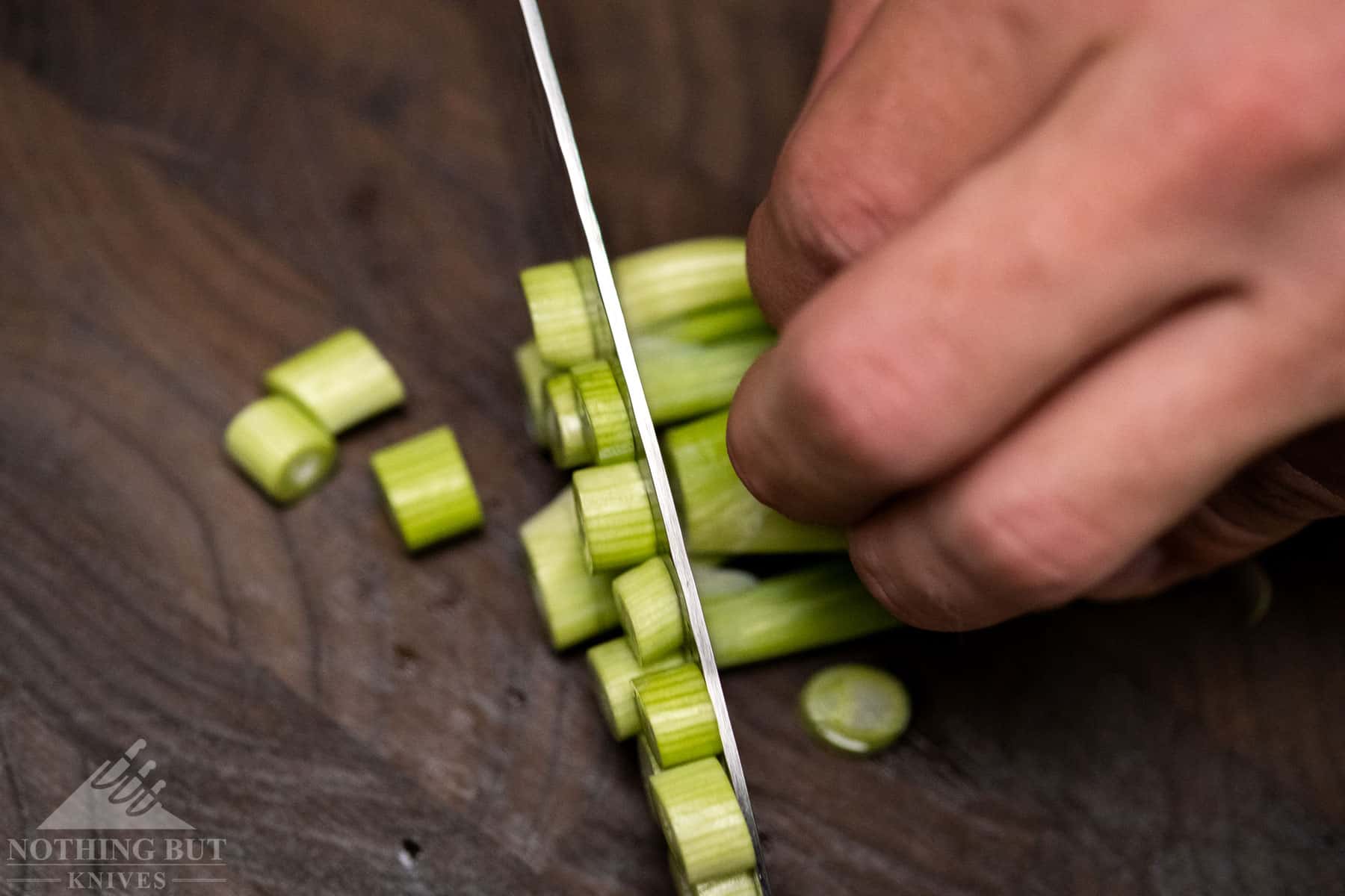 This overhead shot shows how thin the Shun Premier blade is. 