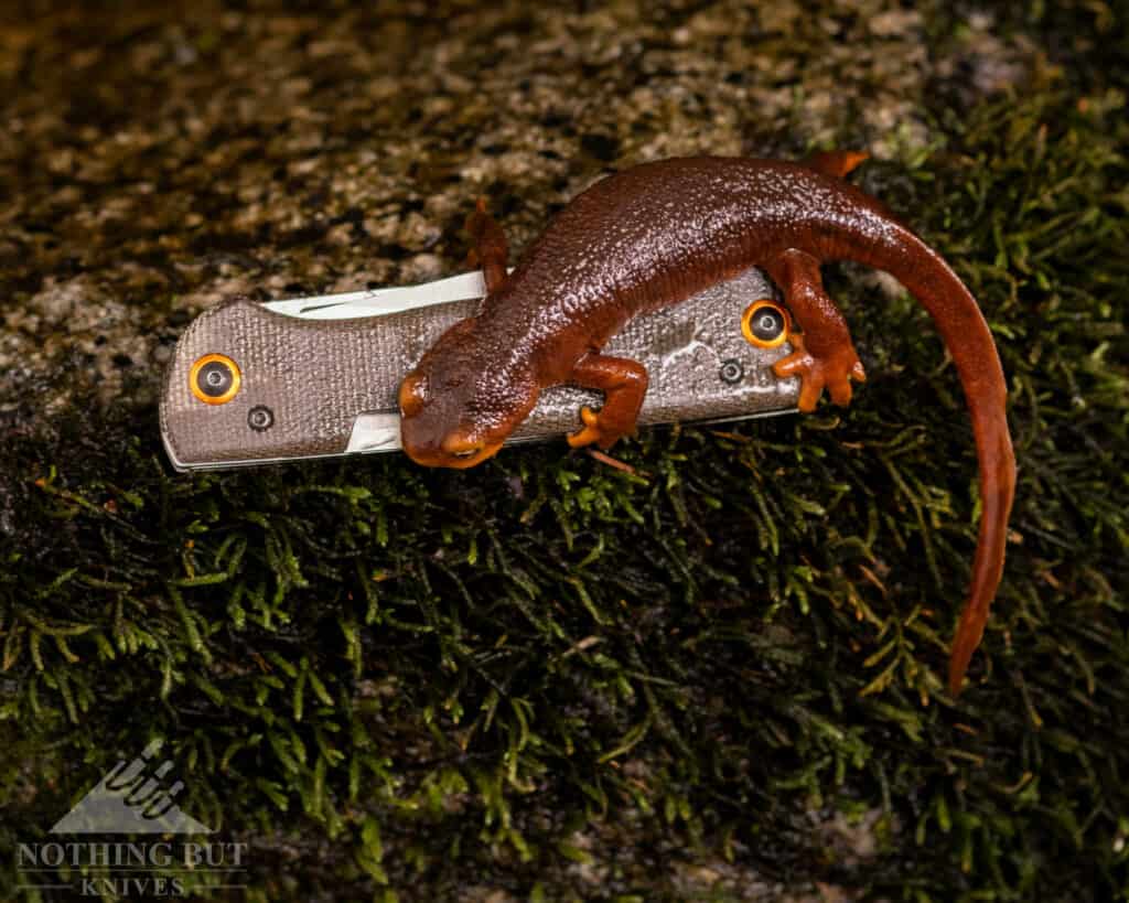 Benchmade Weekender Review - Image 15 Newts love slip joints.