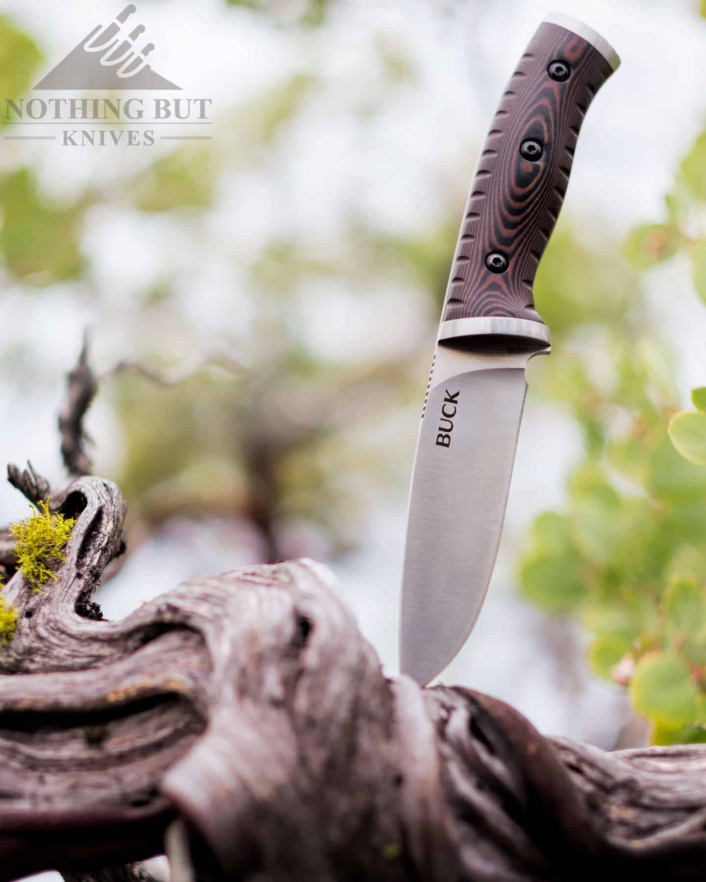 https://www.nothingbutknives.com/wp-content/uploads/2022/08/Buck-Selkirk-Bushcraft-Knife-With-Micarta-Handles.jpg