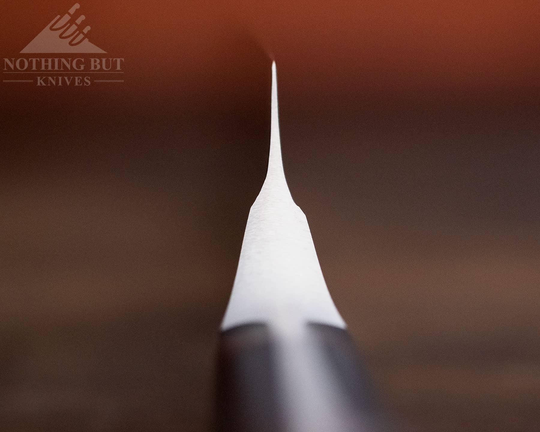Wusthof Classic Ikon 8 Inch Chef'S Knife Review - Image 4 The grind of the Wusthof Classic Ikon chef knife's uneven blade grind.