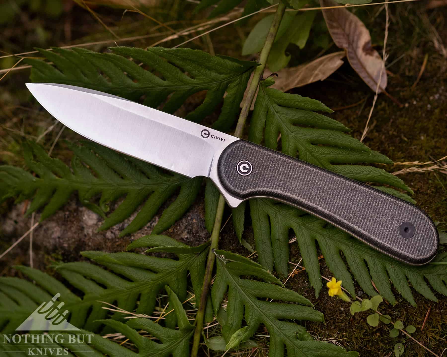 The Civivi Elementum looks ight at home on the forest floor. 