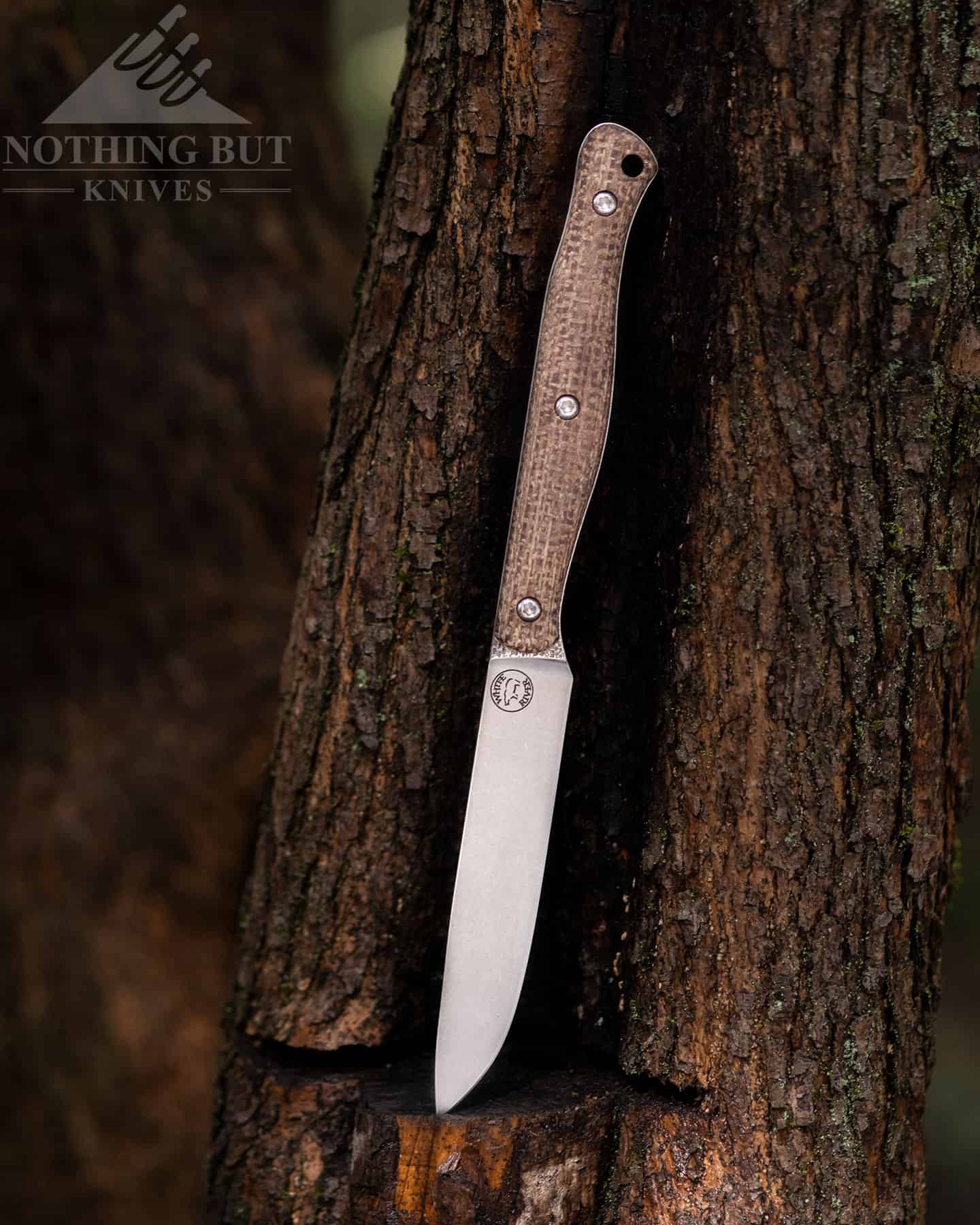 White River Knives Exodus 4 Review - Image 3 The Exodus 4 looks good and feels good in the hand.