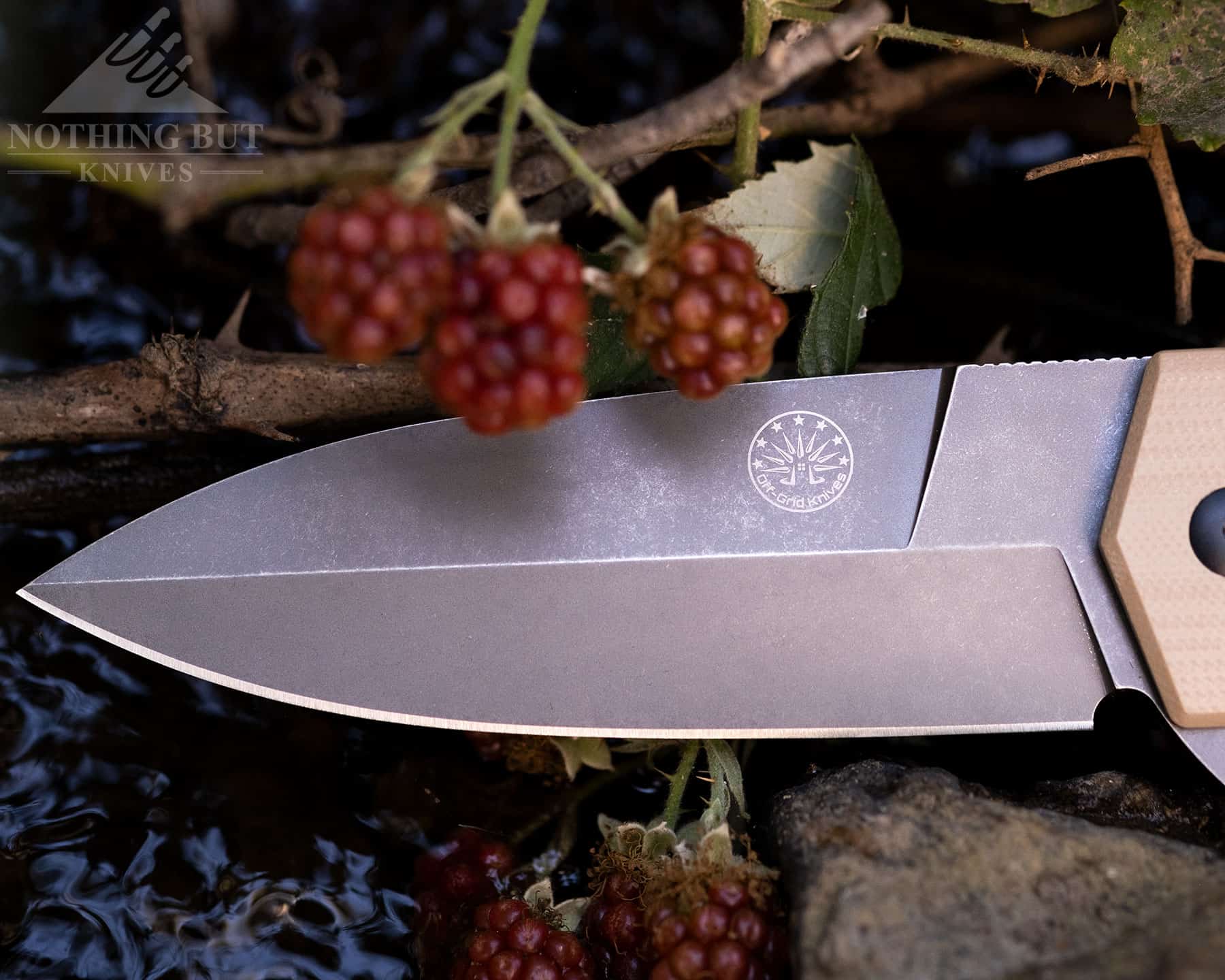 Off Grid Stinger Xl Review - Image 4 This close-up of the spear point blade on the Off-Grid Enforcer XL shows its almost double edged shape.