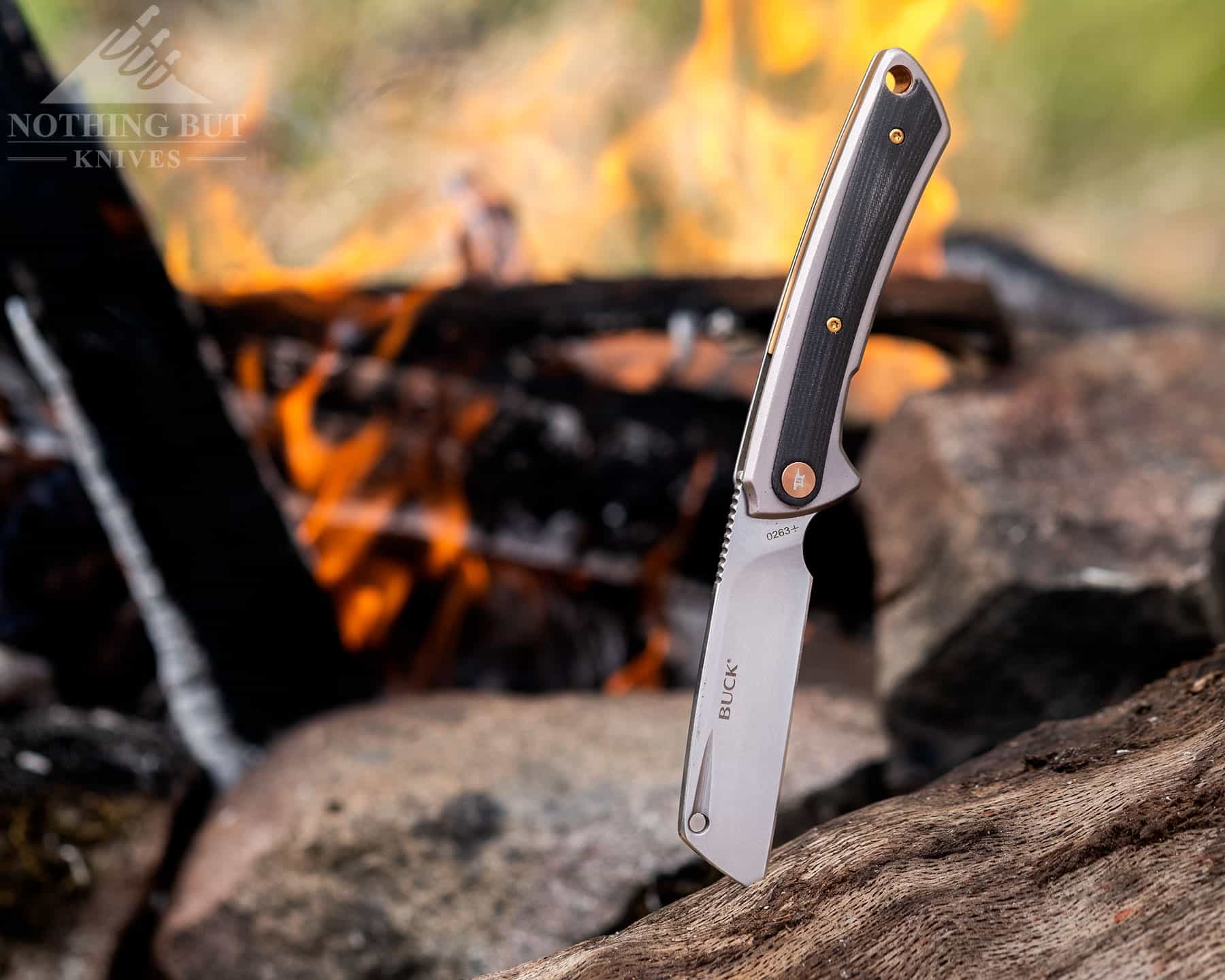 The HiLine is a godd option for anyone looking for a folding cleaver to take camping.