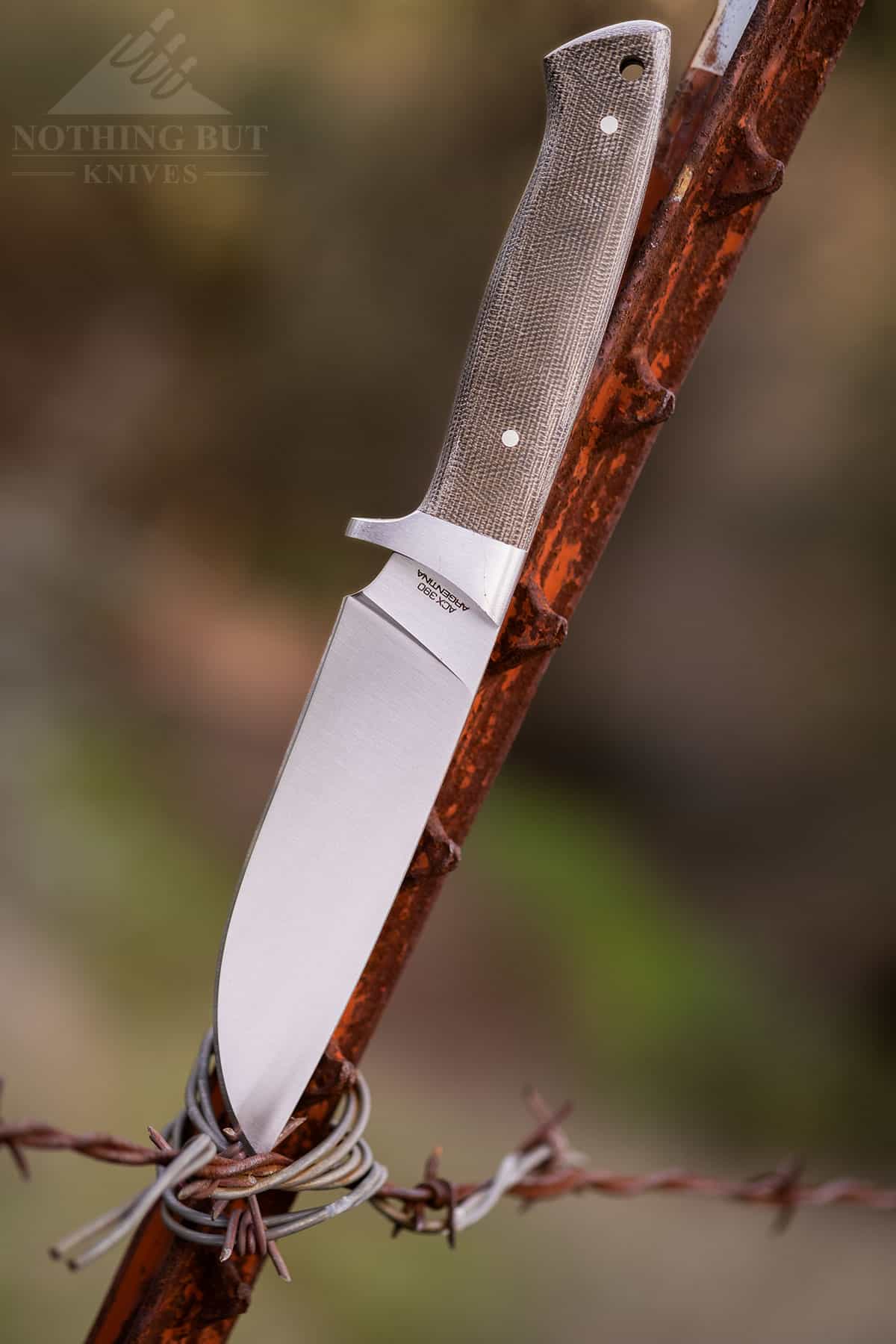 The Boker Arbolito Hunter is a great hiking or camping knife even though it was designed for hunting. 