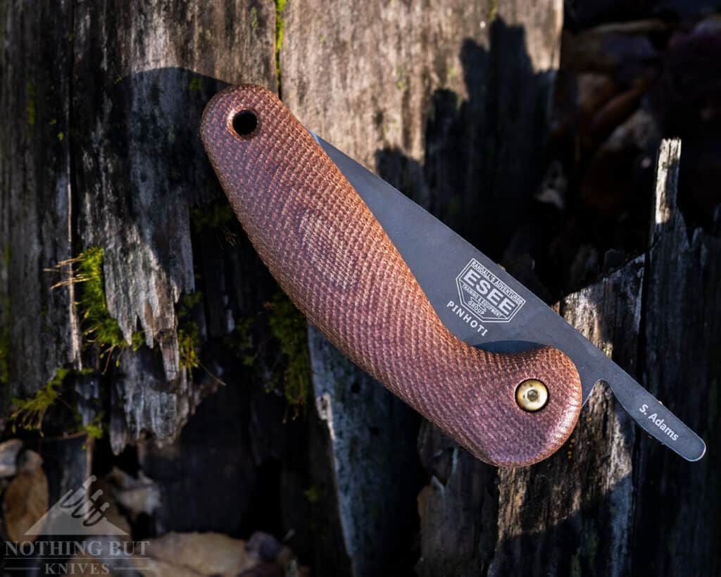 The Esee Pinhoti friction folder is right at home in the forest.