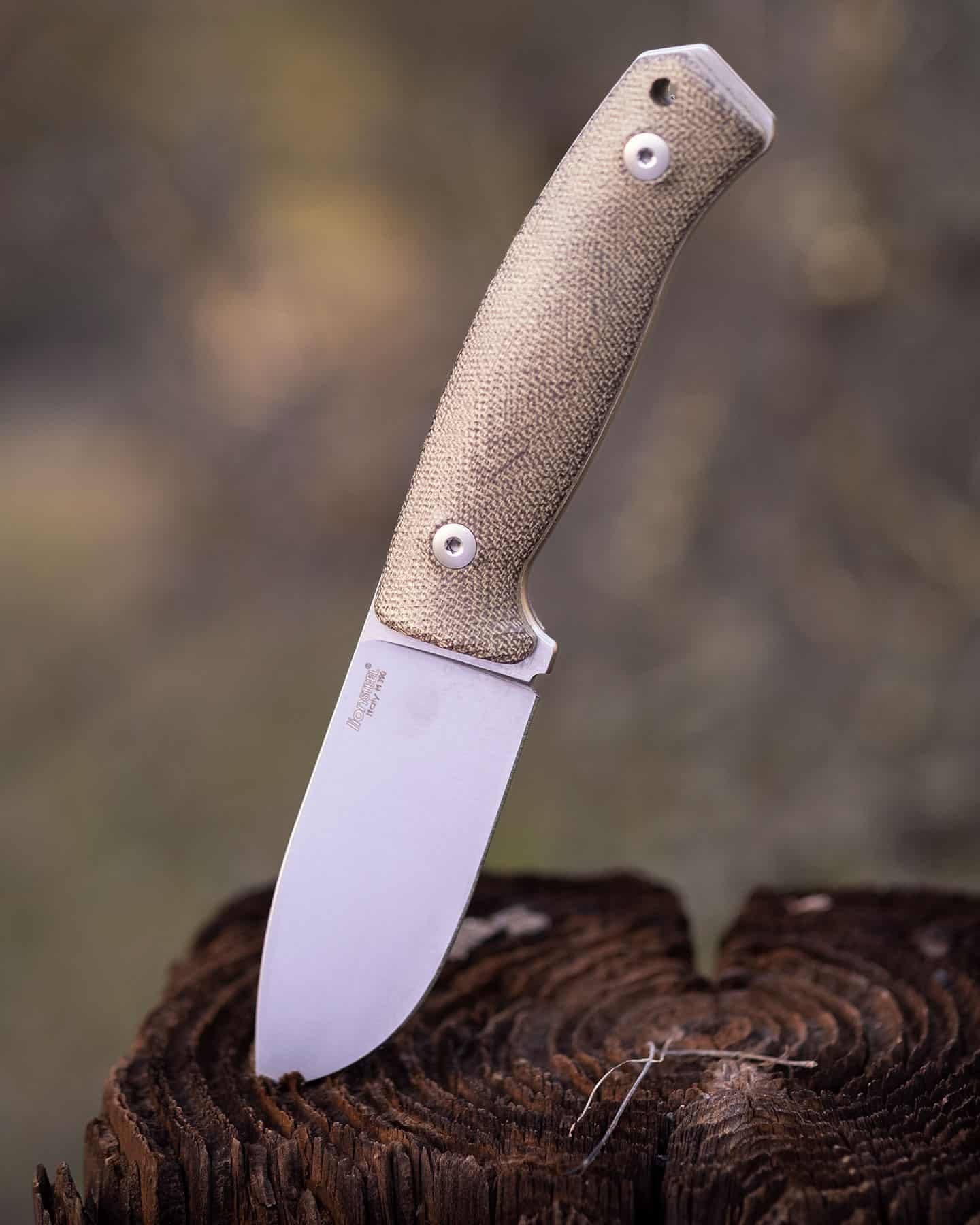 The LionSteel M2M is a great allaround EDC fixed blade that works as a camping or hunting knife.
