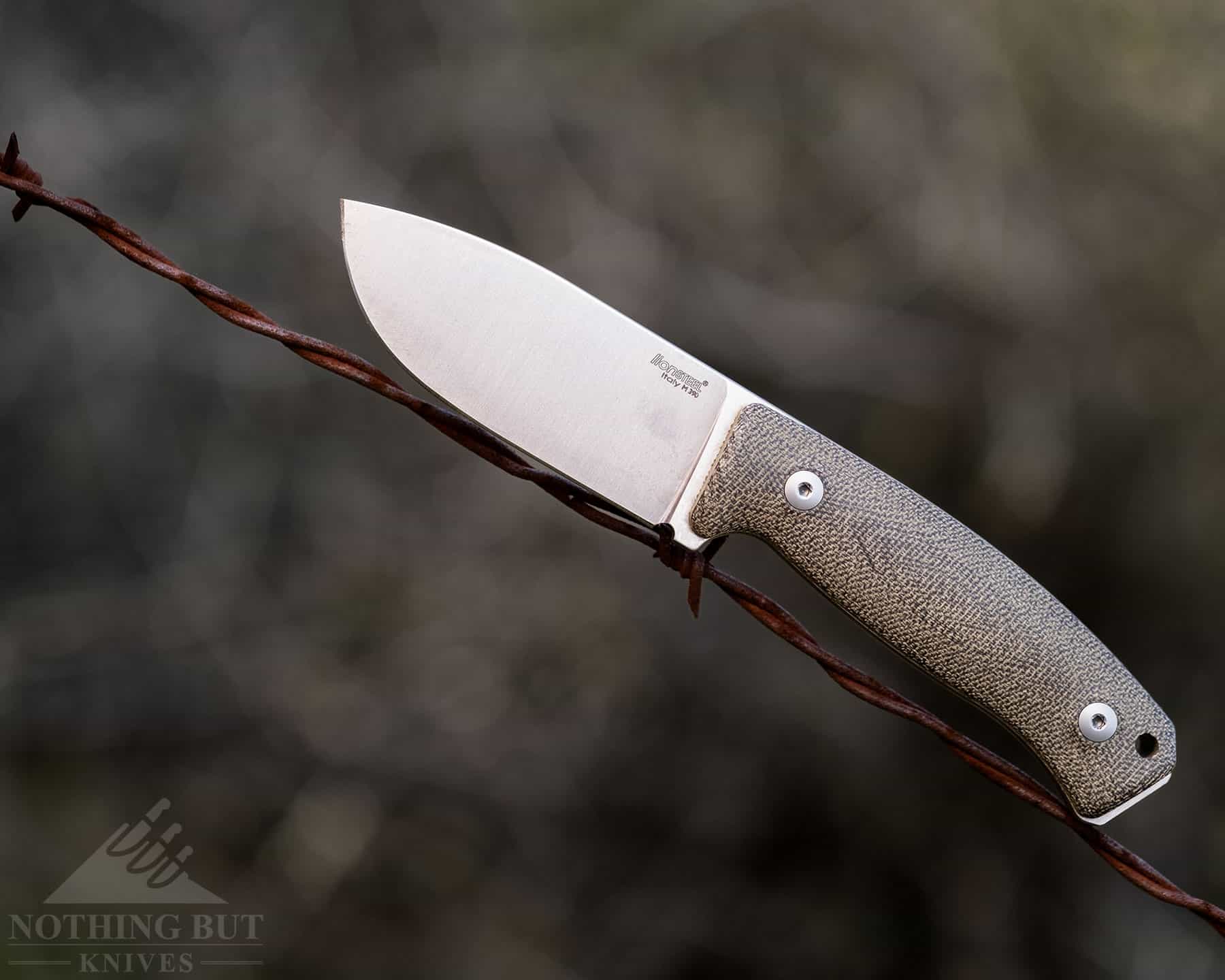 The Lionsteel M2M has a powder steel blade. 