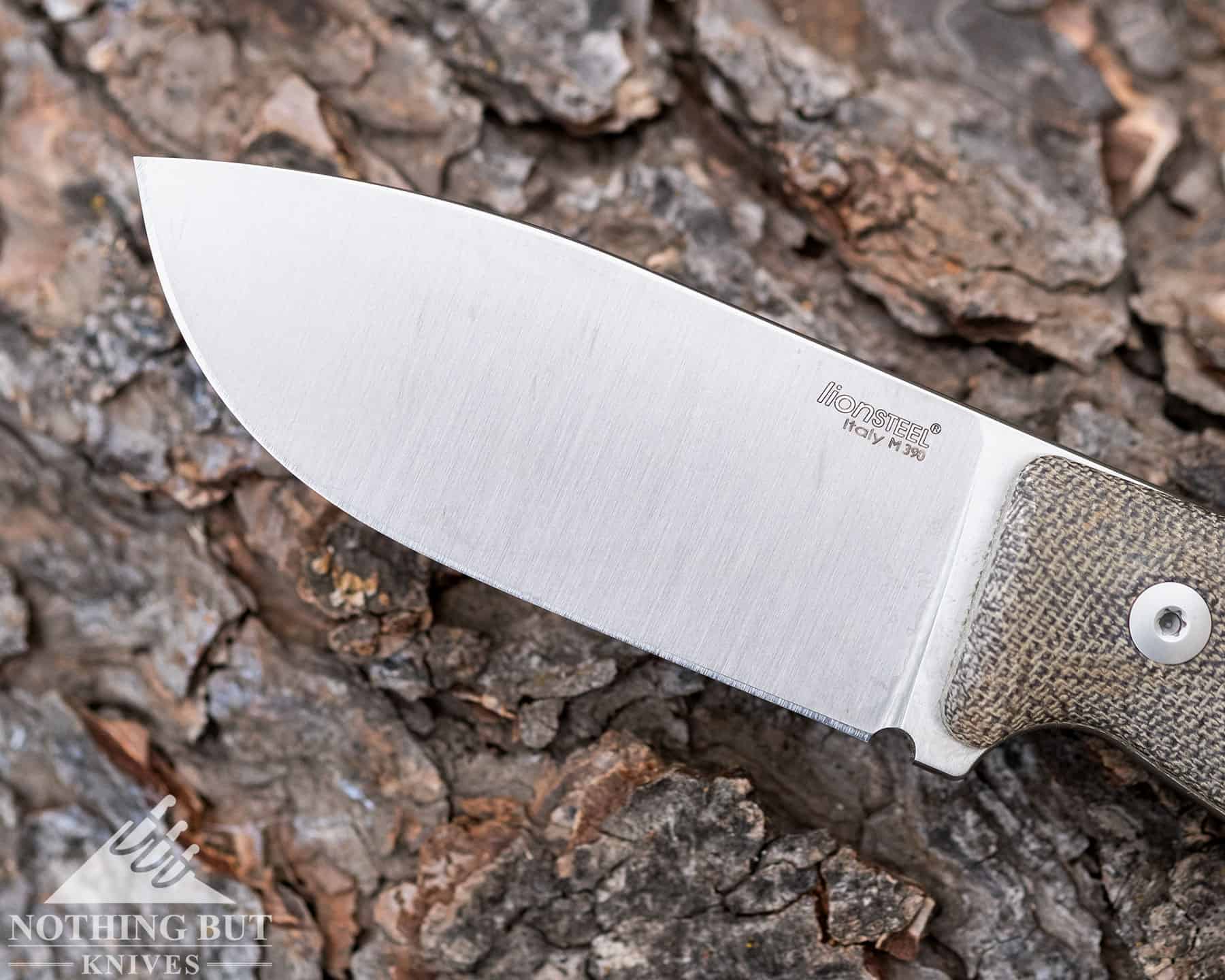 The Lionsteel M2M blade is tall and made of Bohler M390 steel.