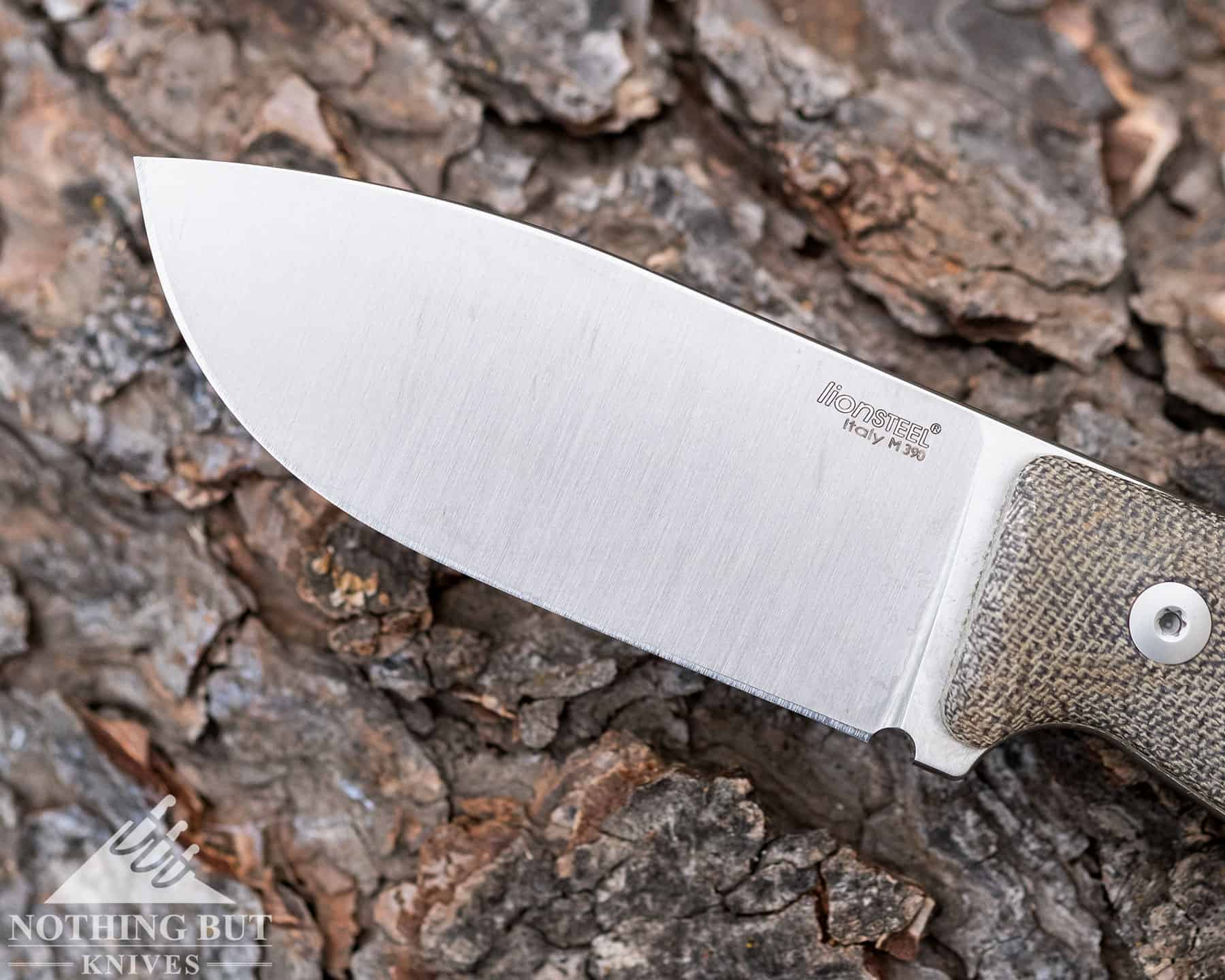 Lionsteel M2M Review - Image 10 The Lionsteel M2M blade is tall and made of Bohler M390 steel.