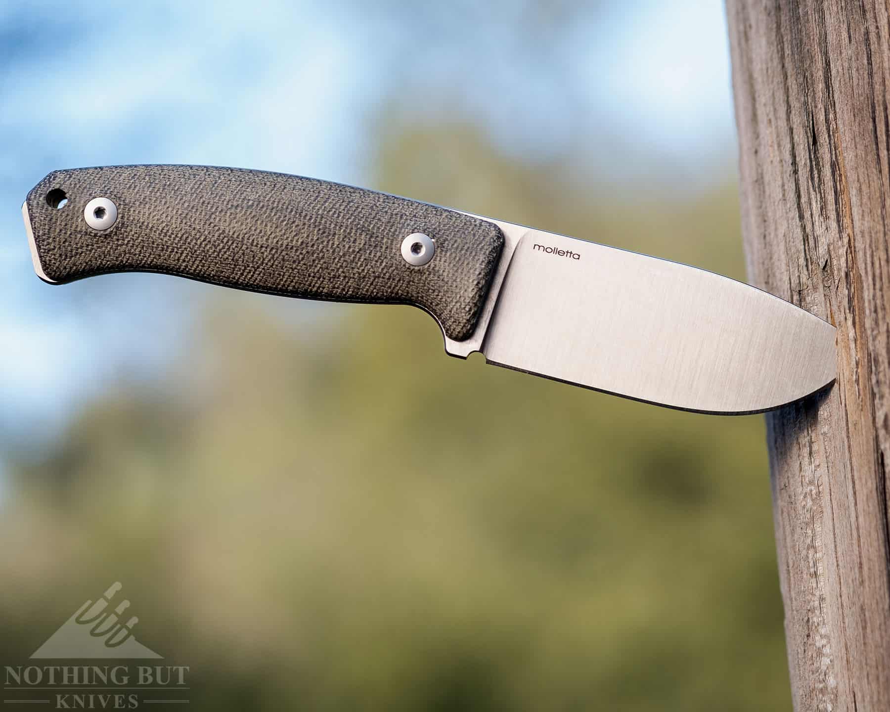 The Lionsteel M2M designer obviously put a lot of thought into every aspect of this impressive mid-size fixed blade.