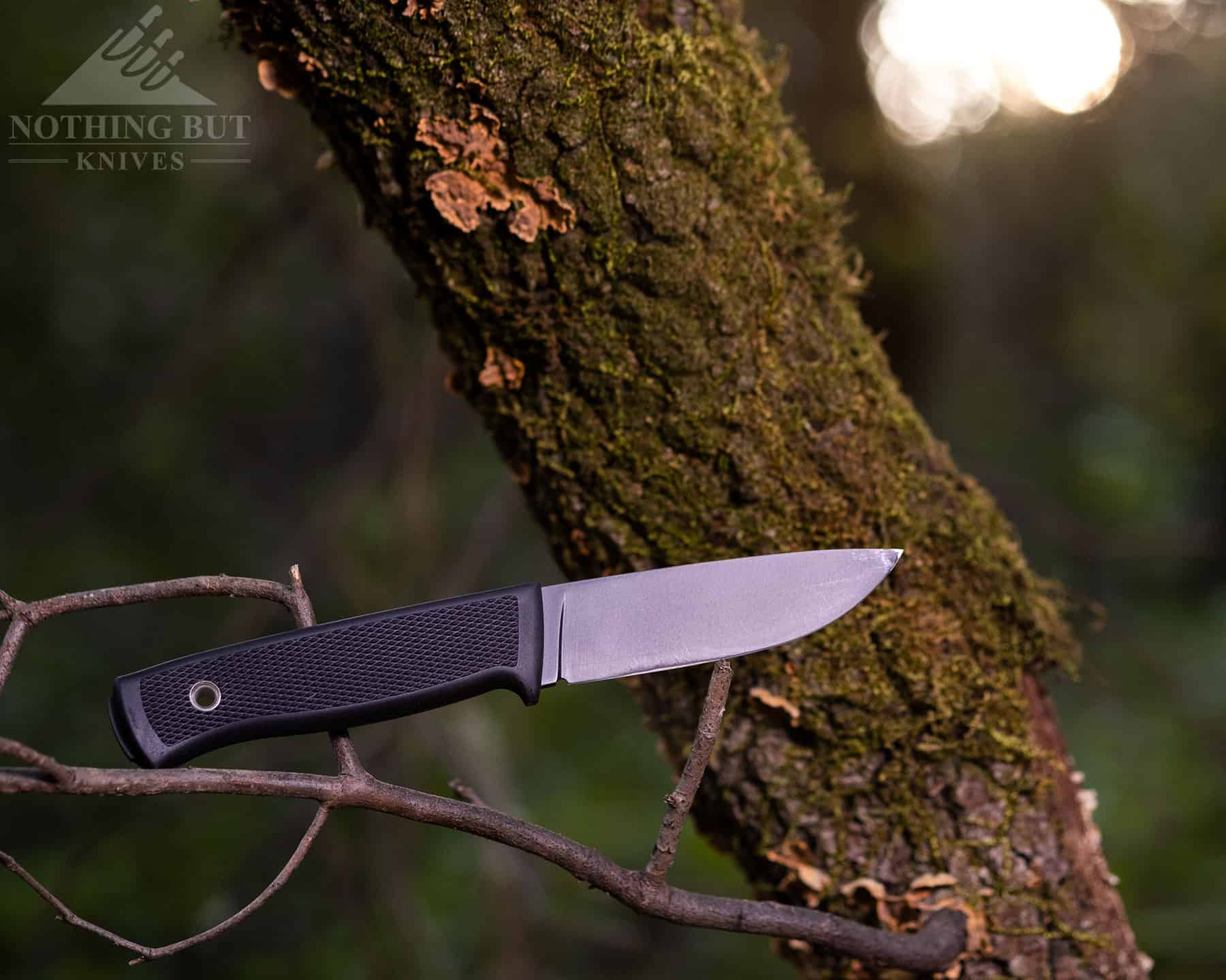The Falkniven F1 is right at home in the Wilderness.