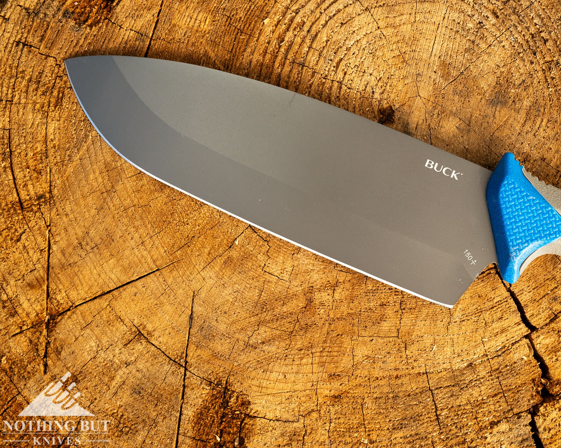 An overhead close-up image of the Buck Knives Hookset Titanium coated cleaver blade. 