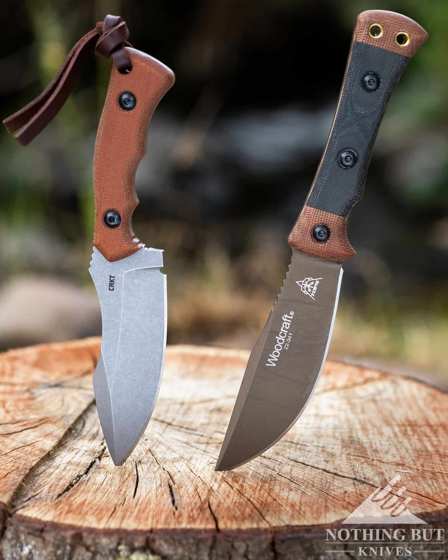 Crkt Bugsy Review - Image 11 The CRKT Bugsy beside the TOPS Woodcrafter on a stump.