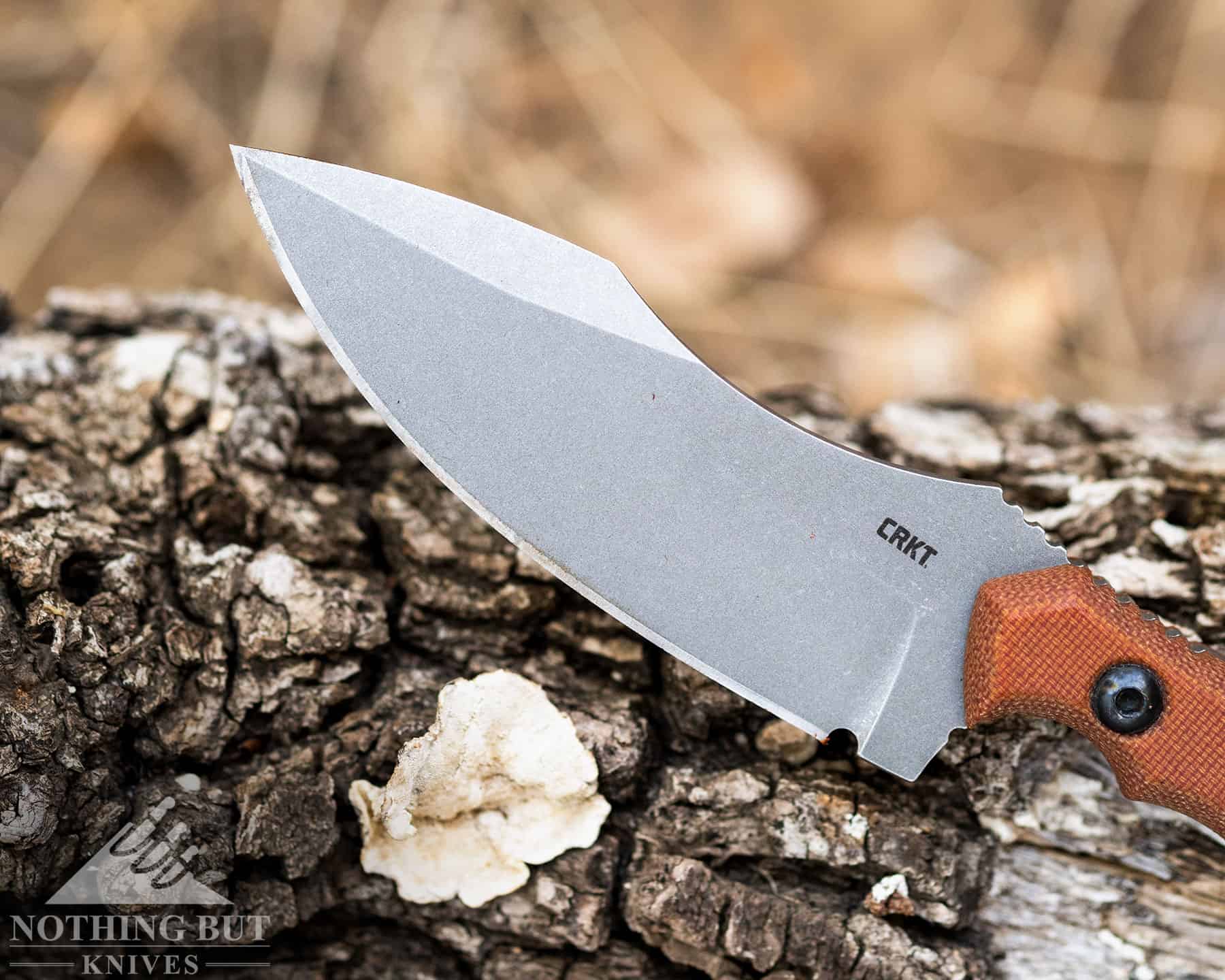 Crkt Bugsy Review - Image 8 A close up on the curved bvlade of the Bugsy that's almost a nessmuk.