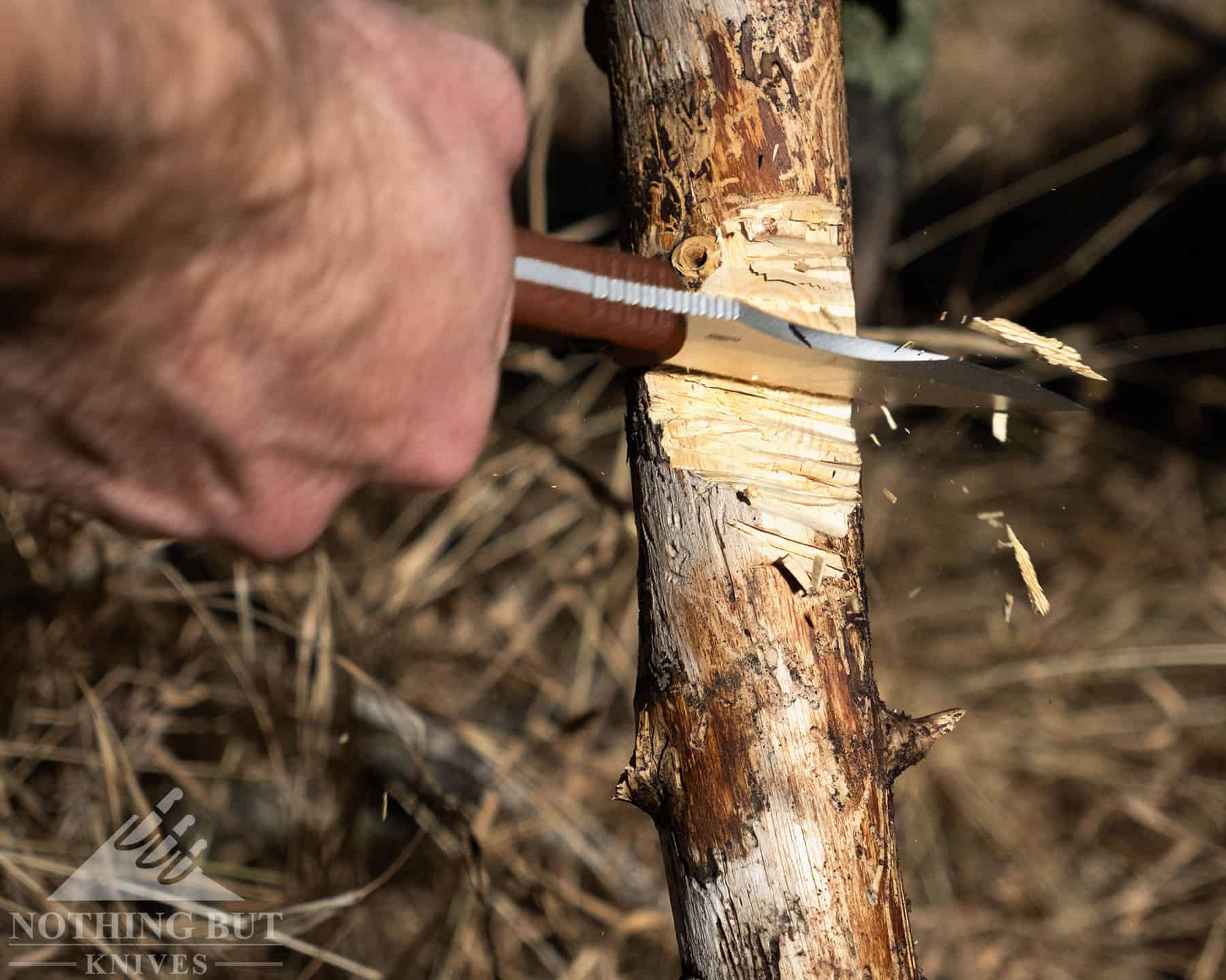 Crkt Bugsy Review - Image 7 Chopping through a branch with the CRKT Bugsy.
