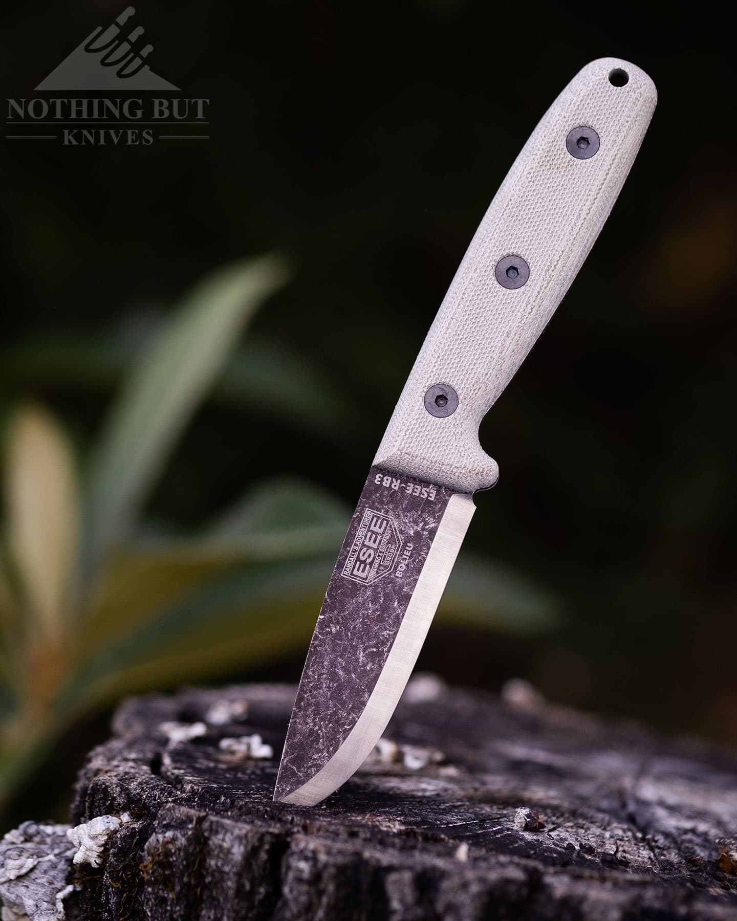 The Esee Camp-Lore RB3 is one of our top picks for a compact bushcraft knife.
