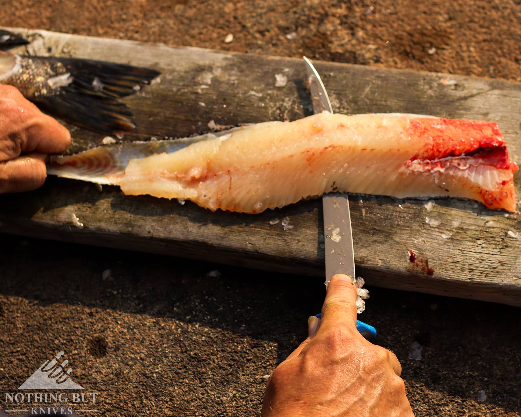 Buck 147 Hookset fillet knife skinning fish on a wood log