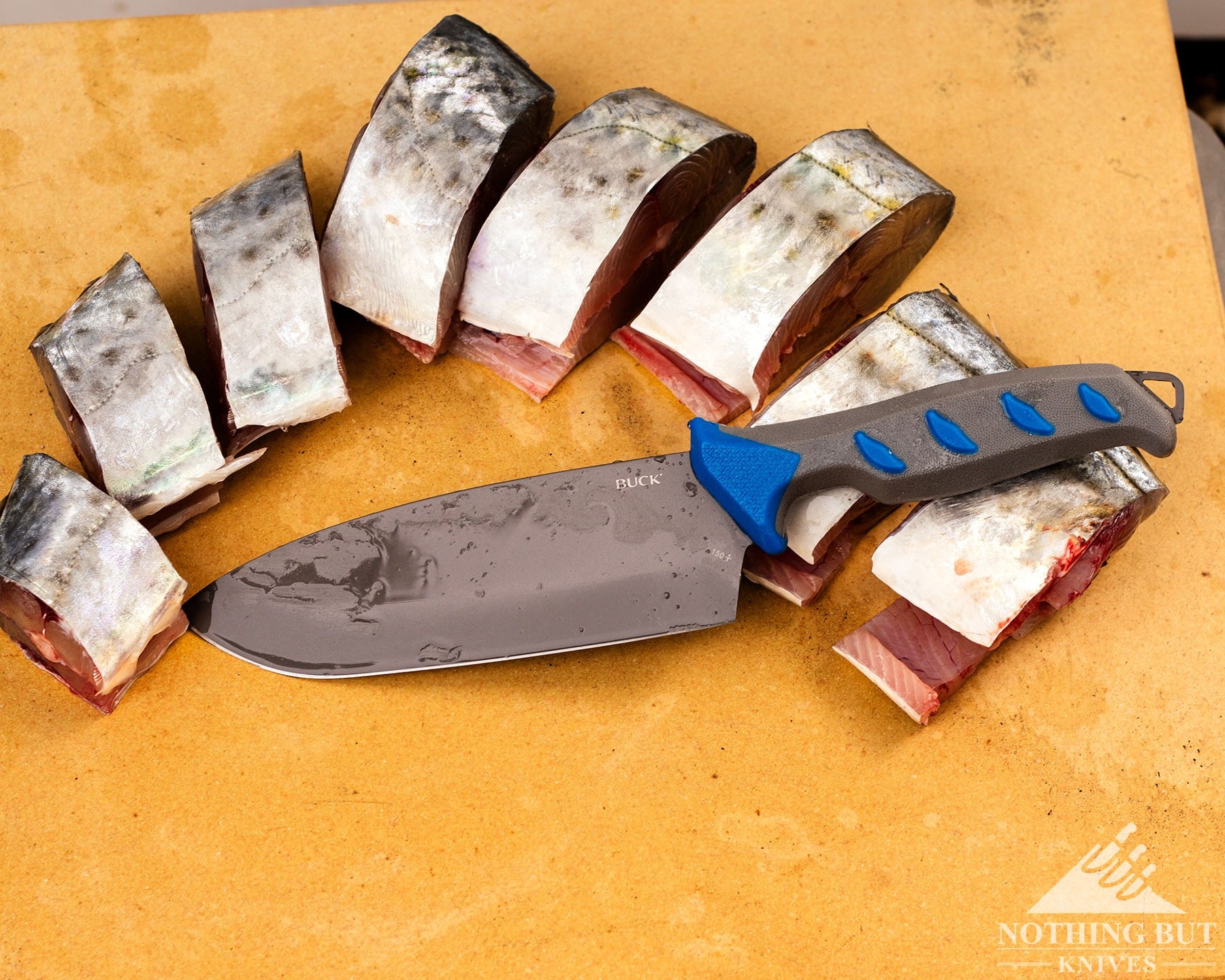 Buck 150 Hookset cleaver knife laying on top of raw fish fillets on cutting board