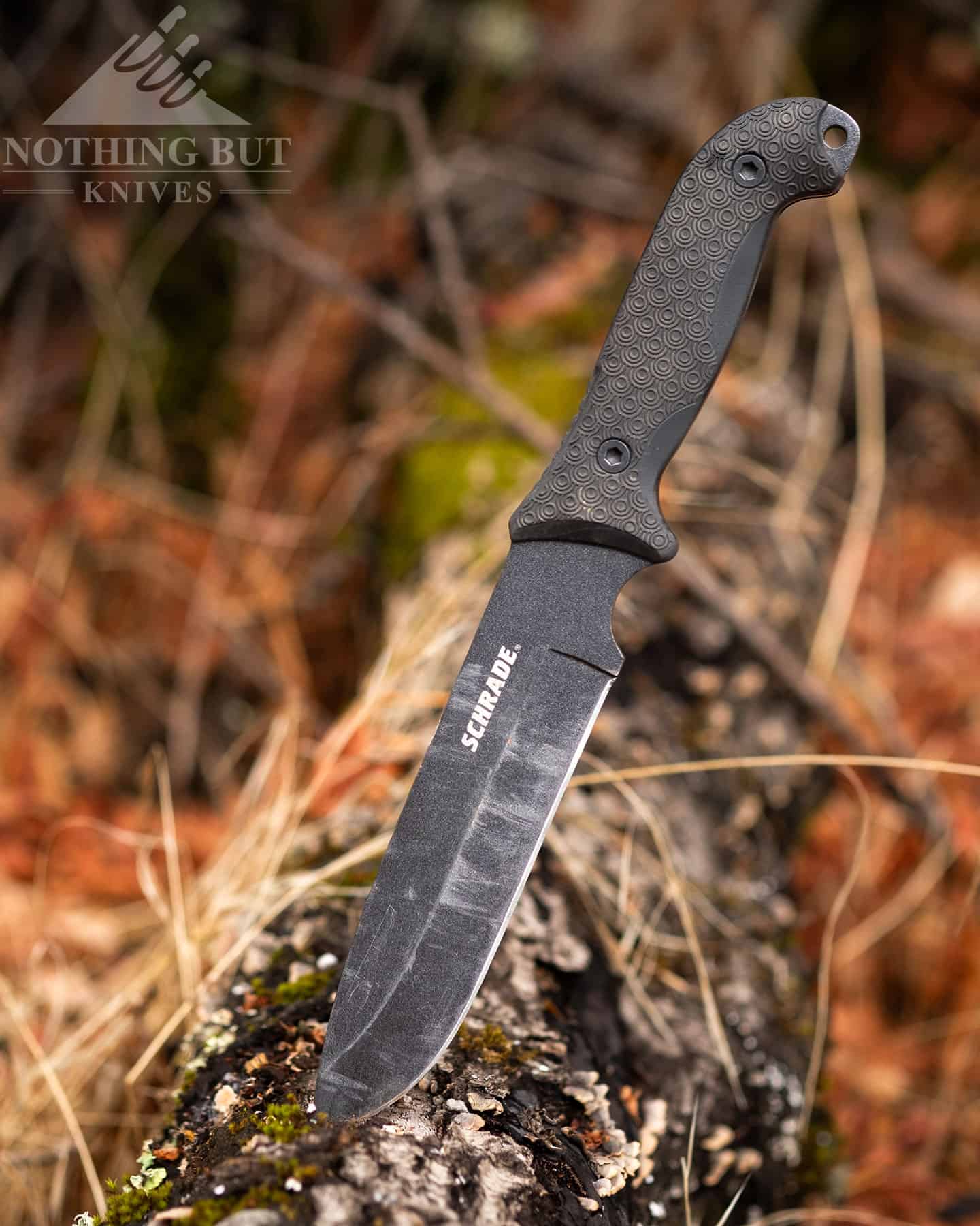 High Quality 7.5 The Bone Edge Folding Knife Wolf & Wilderness Design  Handle