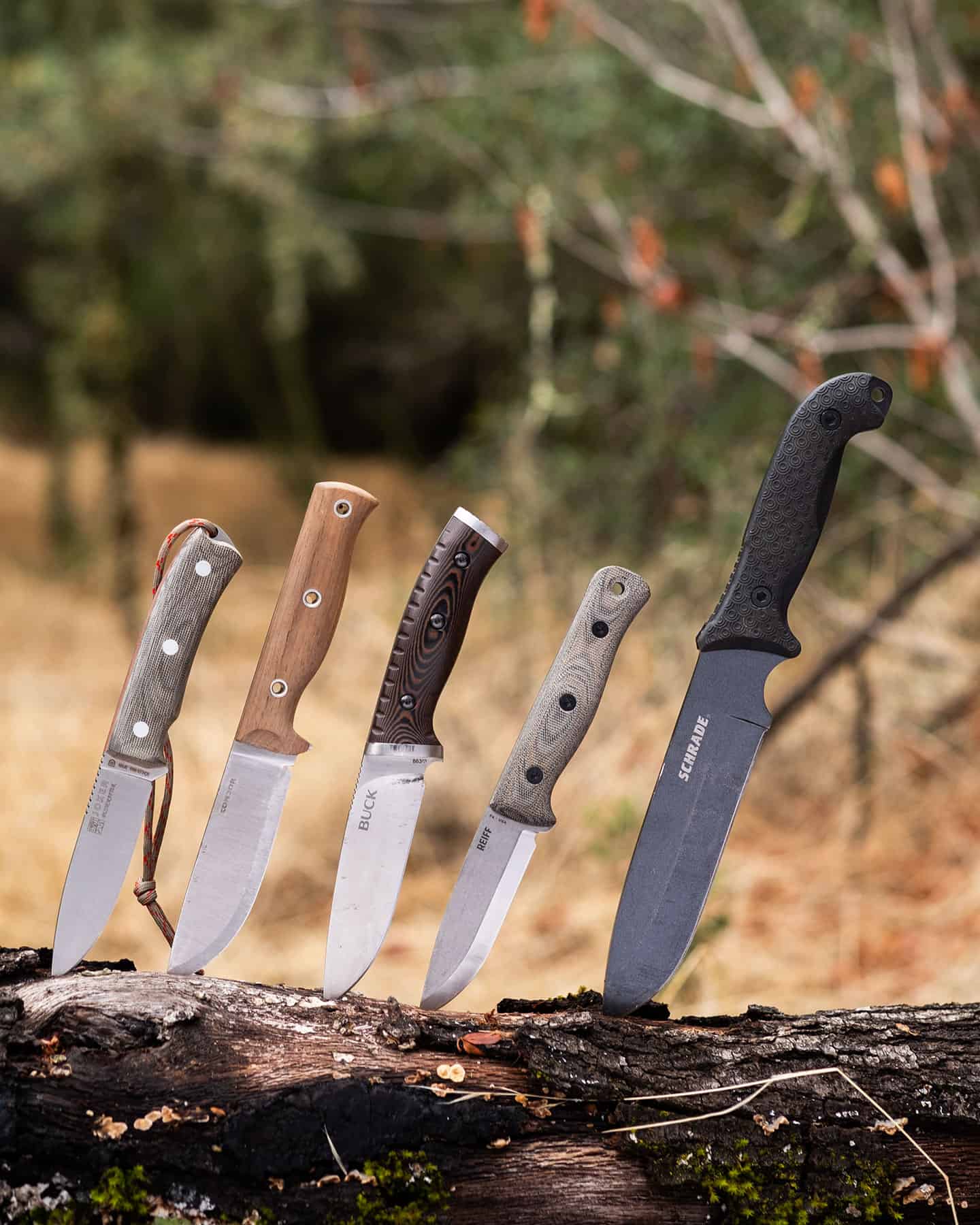 We tested dozens of bushcraft knives and picked the best ones at every price point.