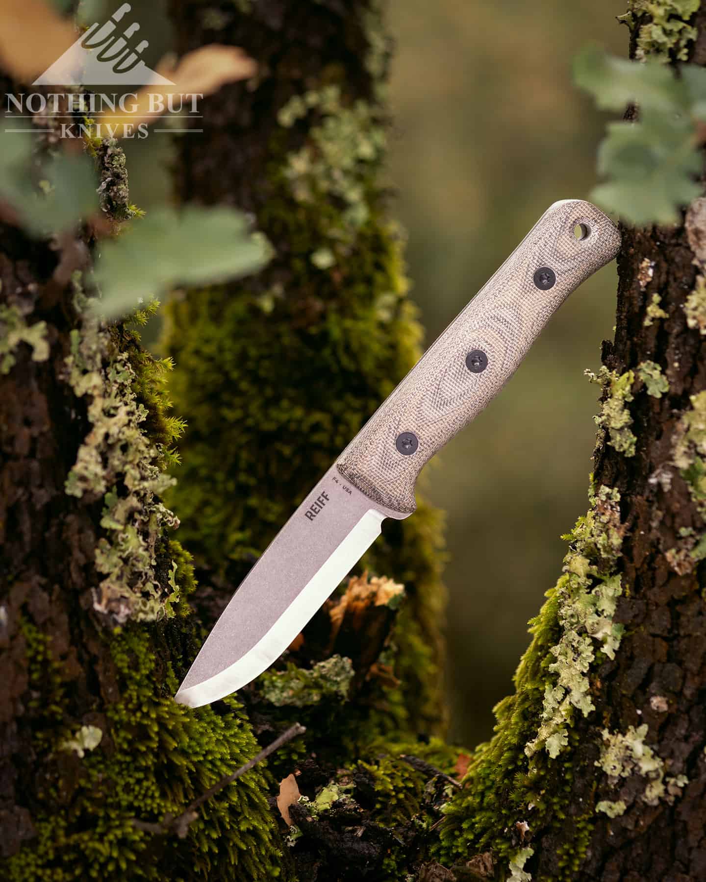 The Reiff F4 Scandi may be the all-around best bushcraft knife we have ever tested. 