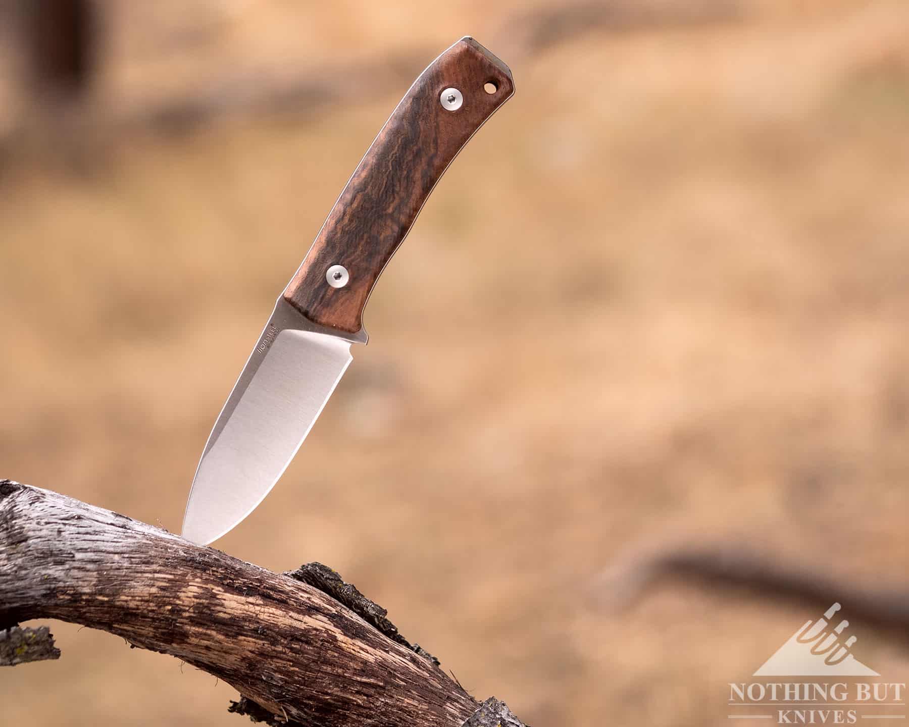 The LionSteel M4 is a superbly usable knife, which (to me) falls into that small category of knives which are both designed and executed just so.