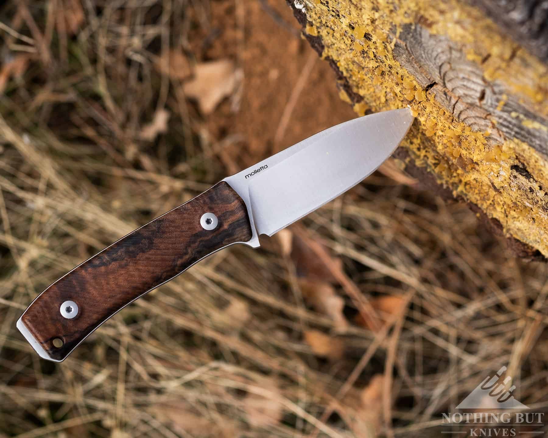 Out and about with a LionSteel fixed blade knife. 