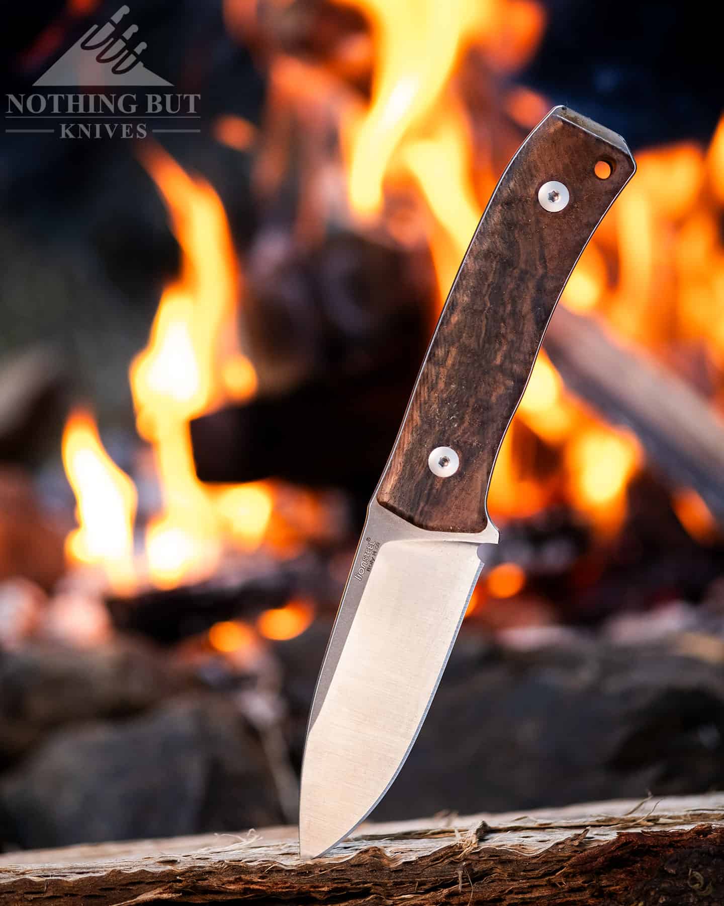 The funtional design of the LionSteel M4 makes it a great option for camping. 