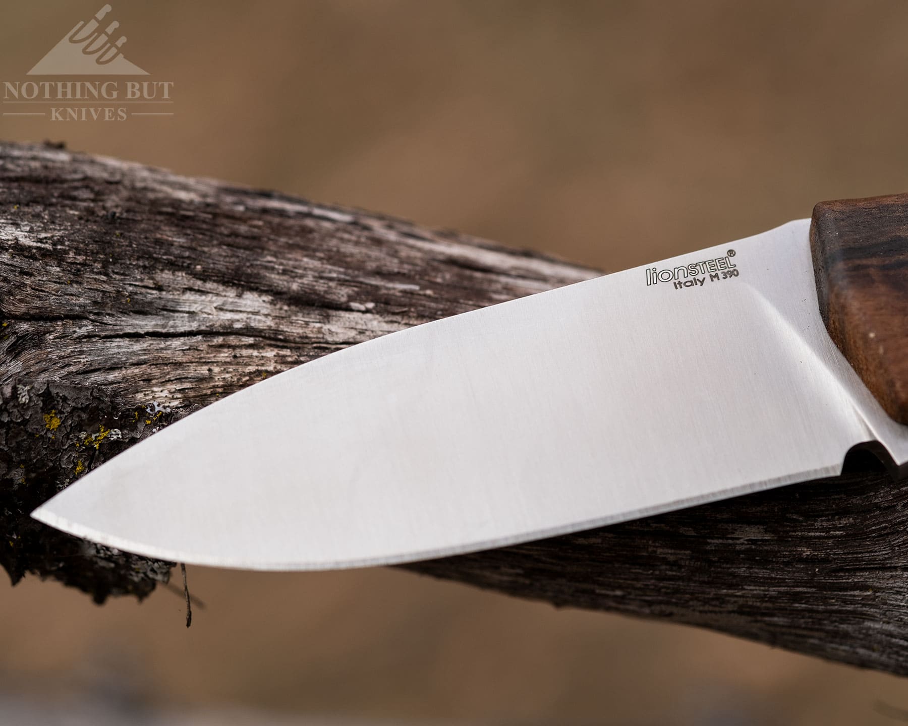 The blade of the M4 features a flat grind and a sharp edge. 