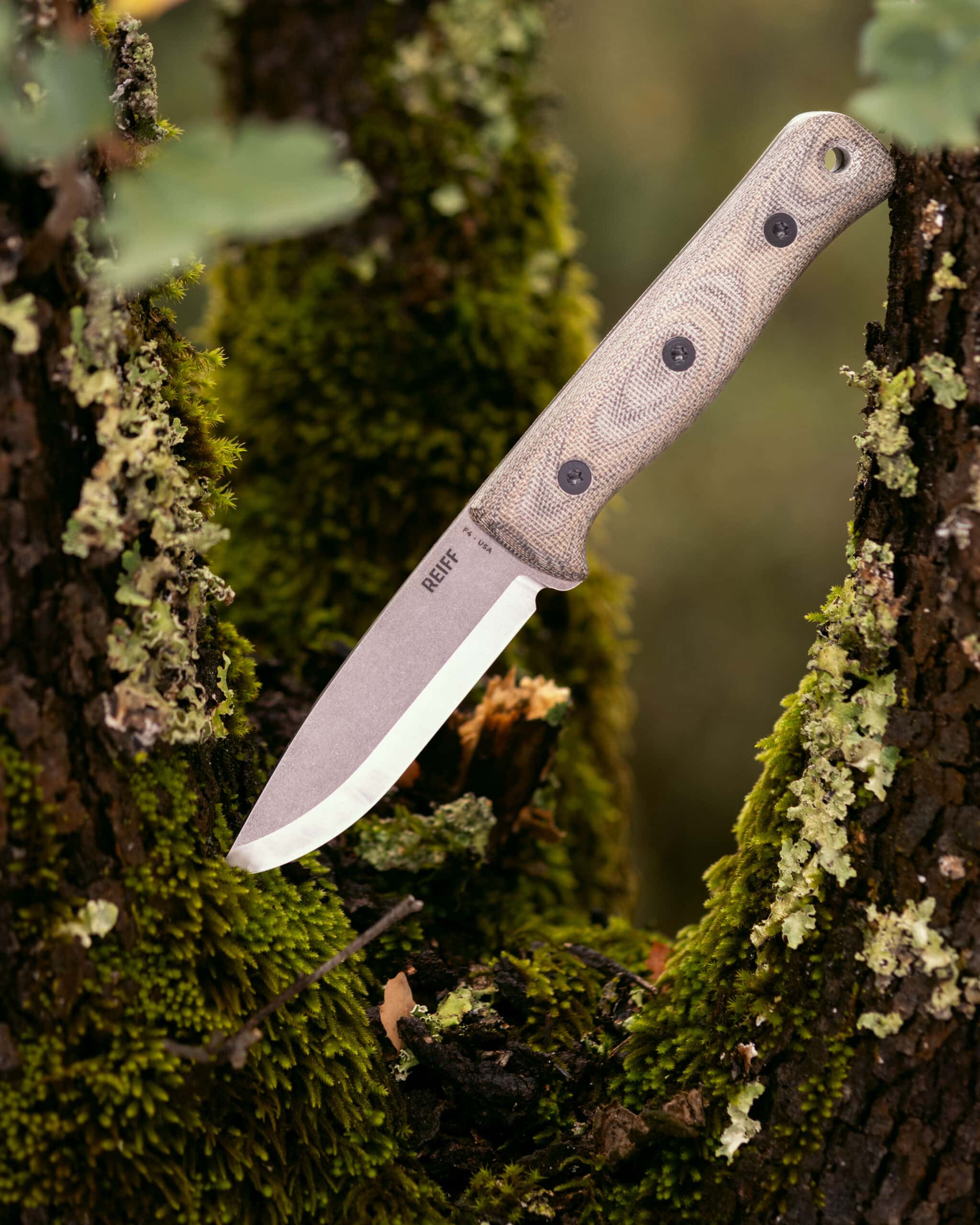 The Reiff F4 Scandi won the award for the best knife update. 