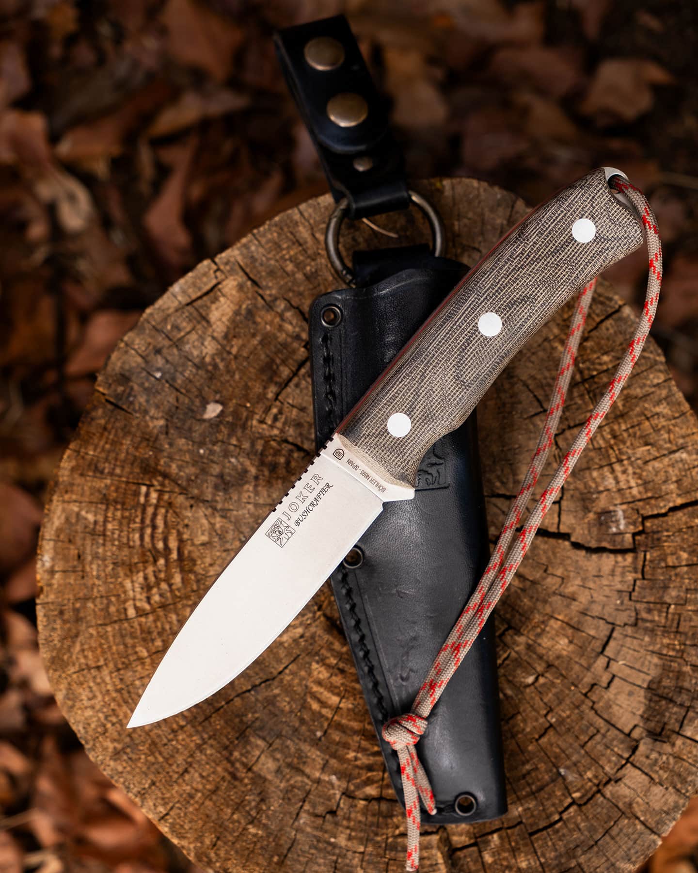 An overhead view of the Joker Bushcrafter fixed blade knife sitting with its leather sheath on a tree stump.