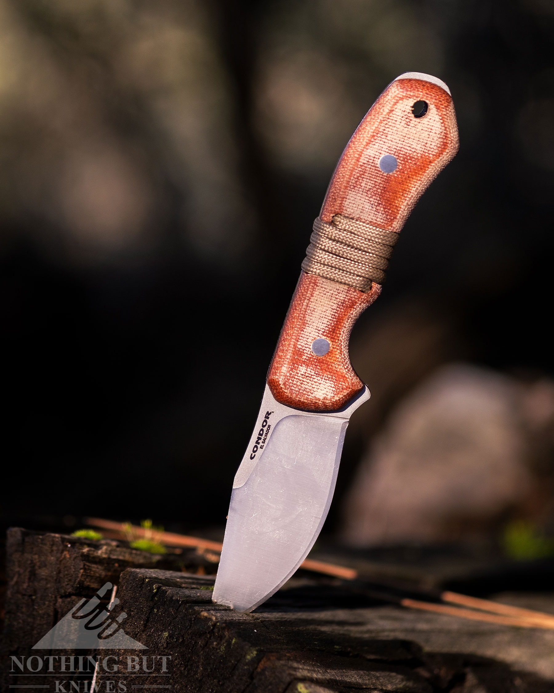 The Condor Mountaineer Mountaineer Trail Wingman knife shown here with its blade tip sticking out of a tree stump in the forest.