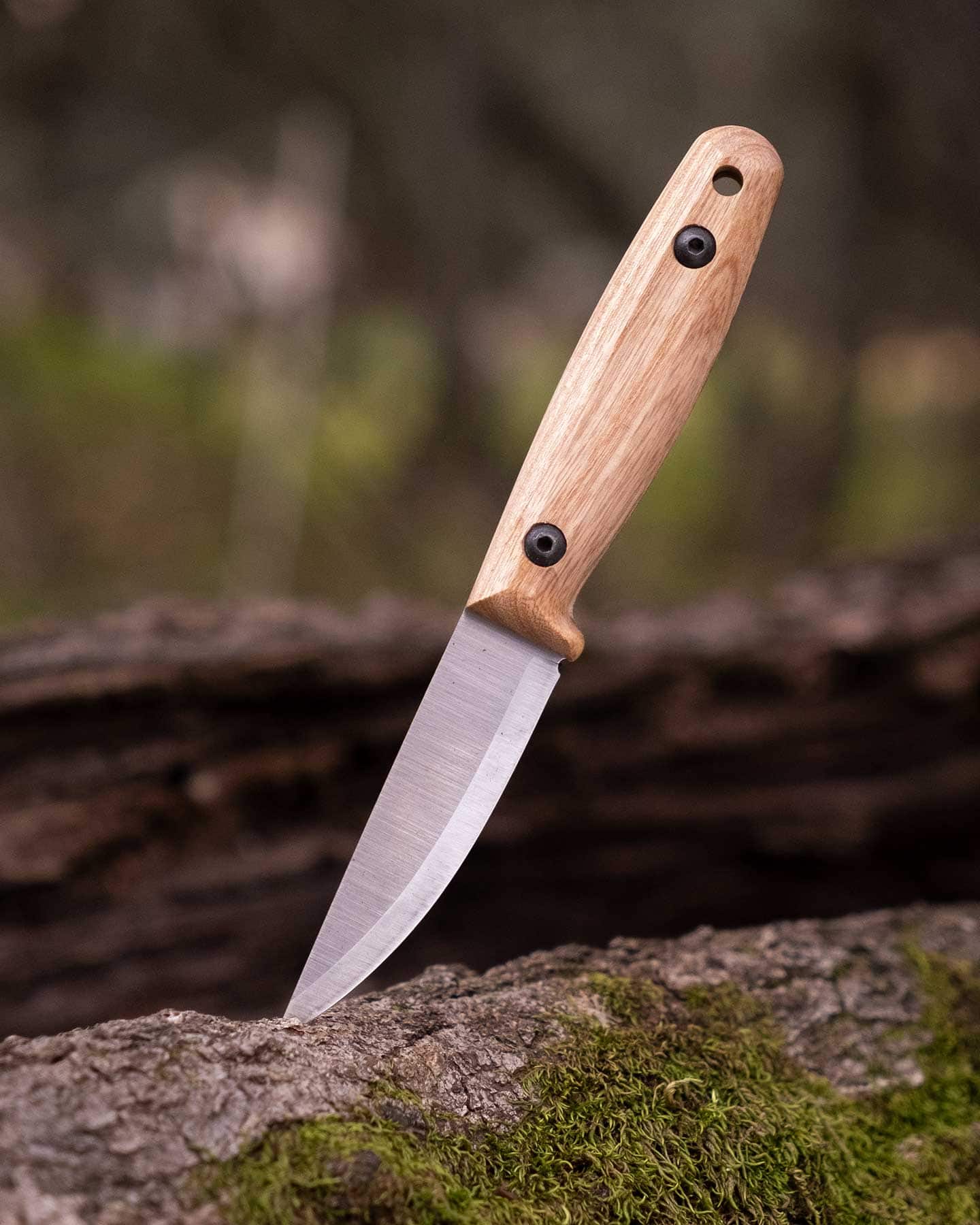 The BPS Finn Lite fixed Blade EDC Knife shown here outdoors with its blade sticking out of a moss-covered log.