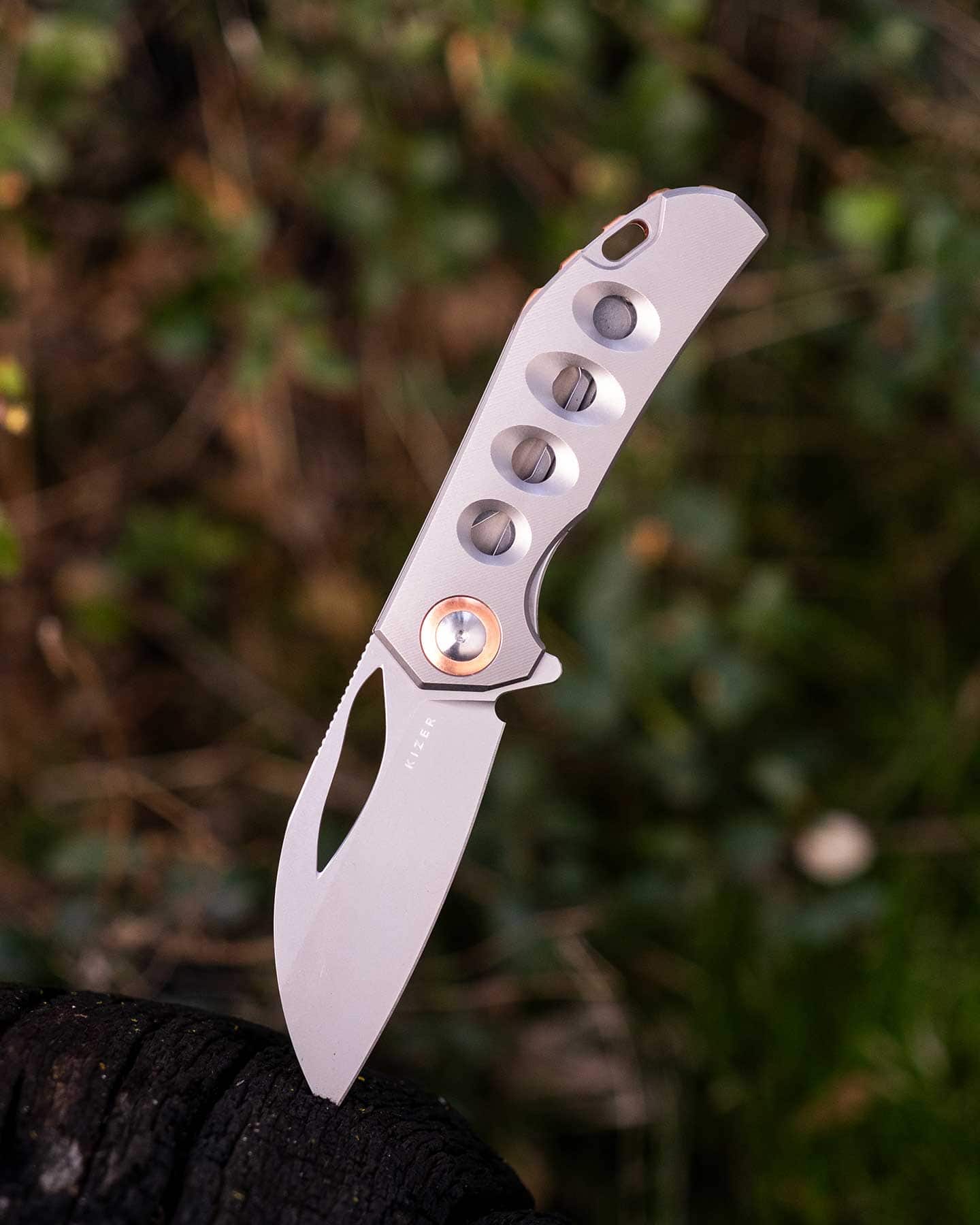 The Kizer Hawk pocket knife with titanium handle scales and an S45VN steel blade shown here with its blade tip sticking out of a small tree stump in the forest.