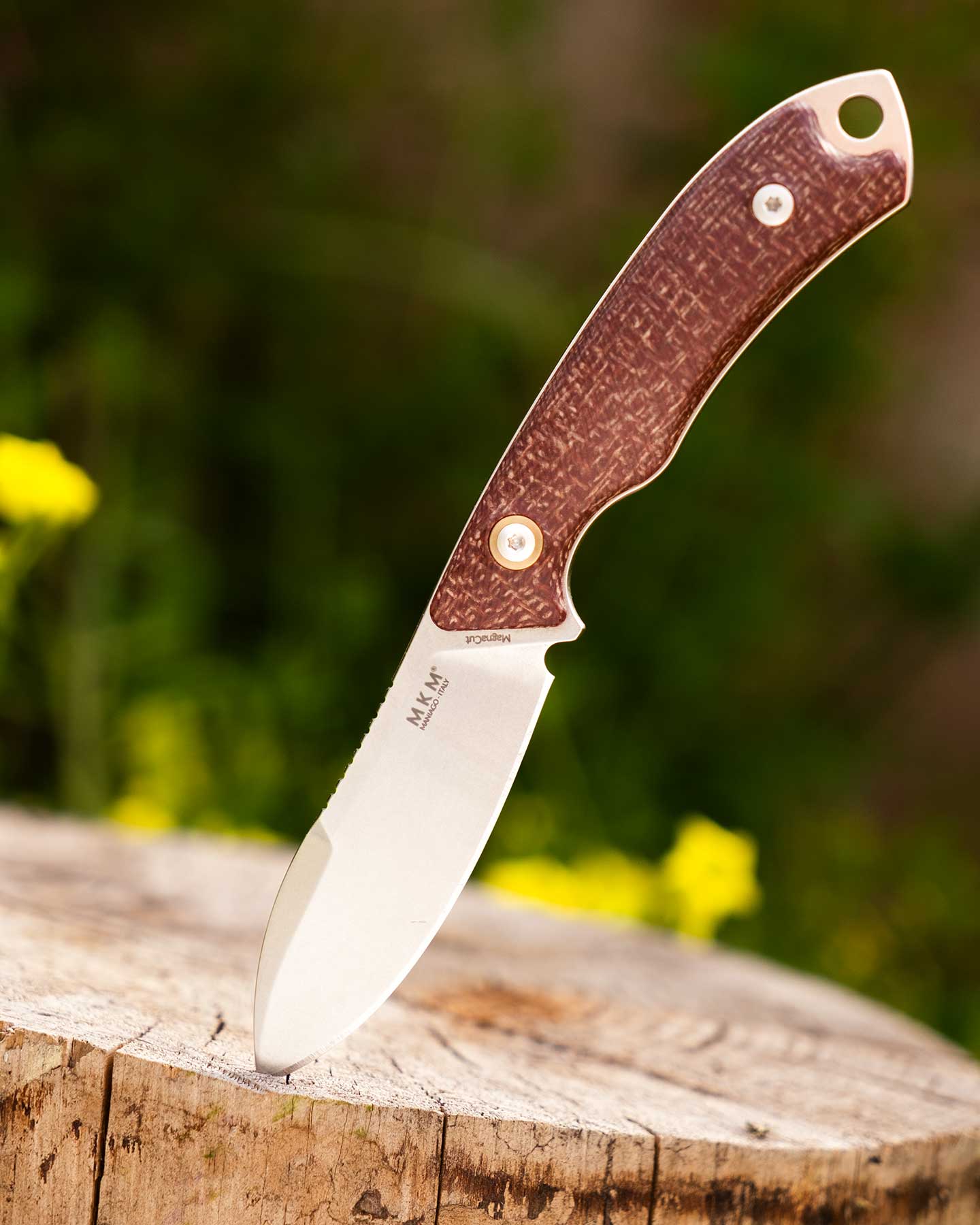 The Maniago Knife Makers (MKM) Pocket Tango sticking out of a small log in front of a blurry green background.