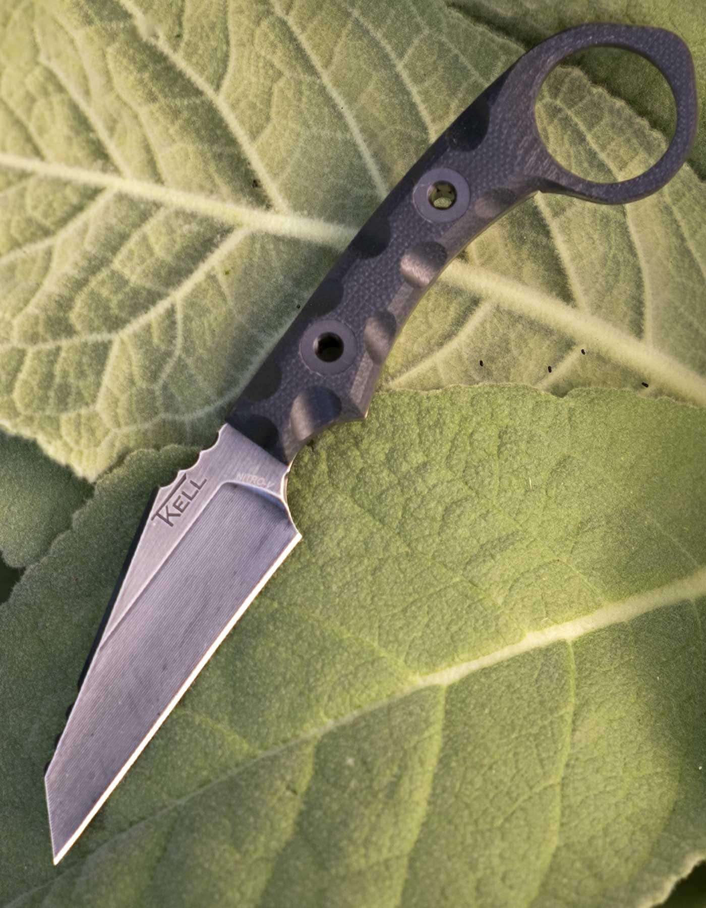 An overhead view of the TKell WharnEDC fixed blade knife on large green leaves outdoors.