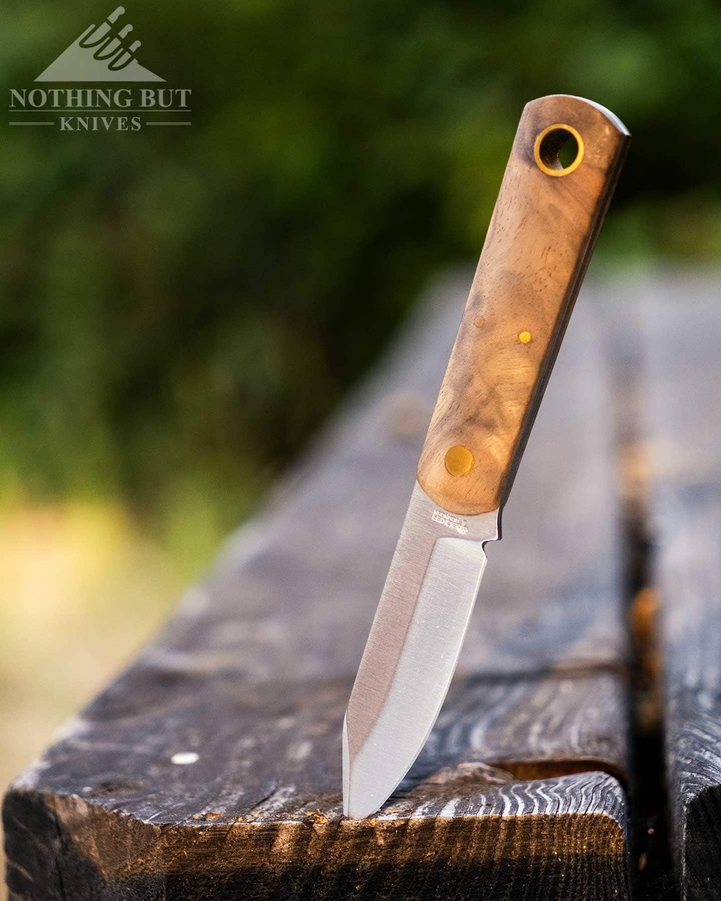 Our Favorite Fixed Blade Edc Knives And How To Carry Them - Image 16 The wanut handled Boker Barlow Burnley knife sticking out of a picnic table bench in front of a green foliage.