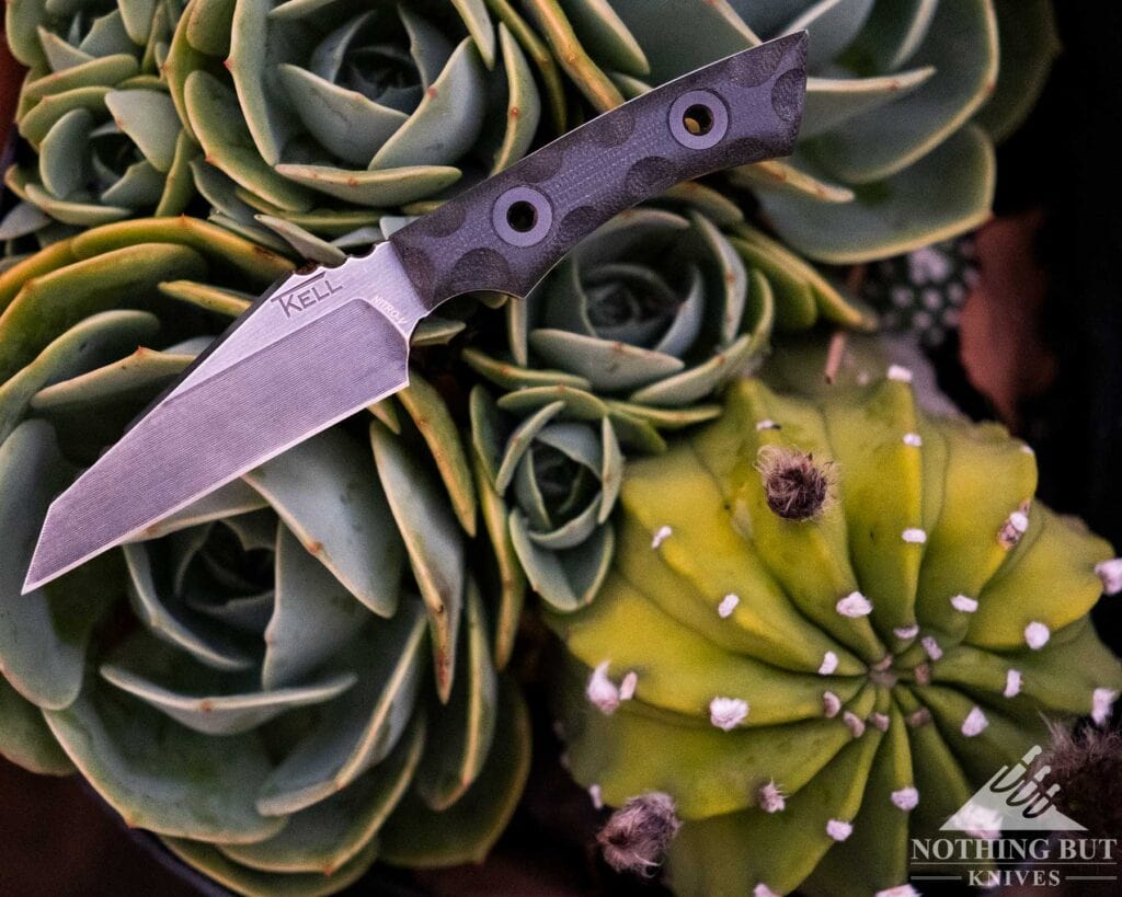 T.kell Wharnedc Review - Image 4 An overheead view of the WharnEDC fixed blade knife on top of small cactus plants.